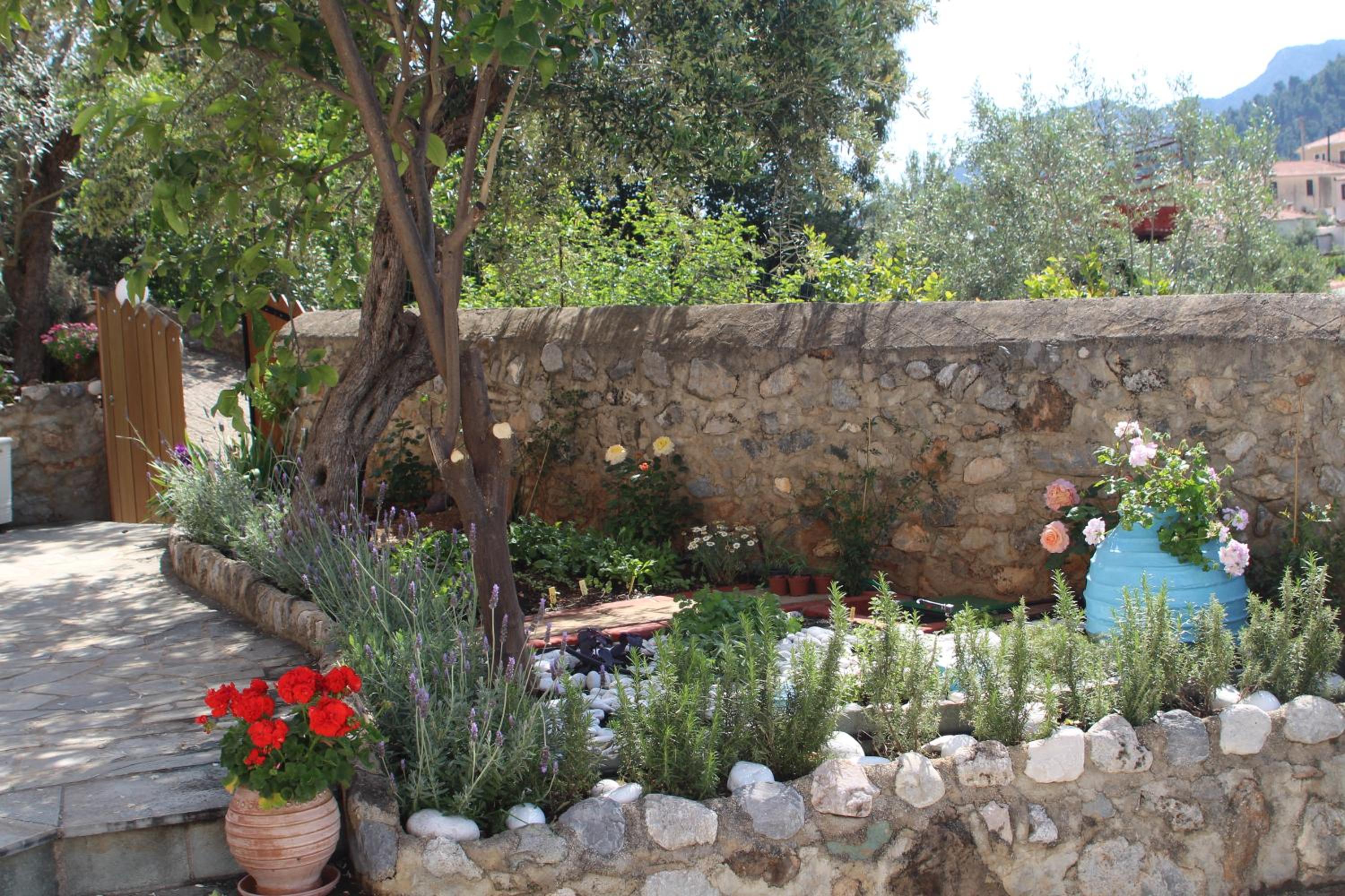 Photo 14