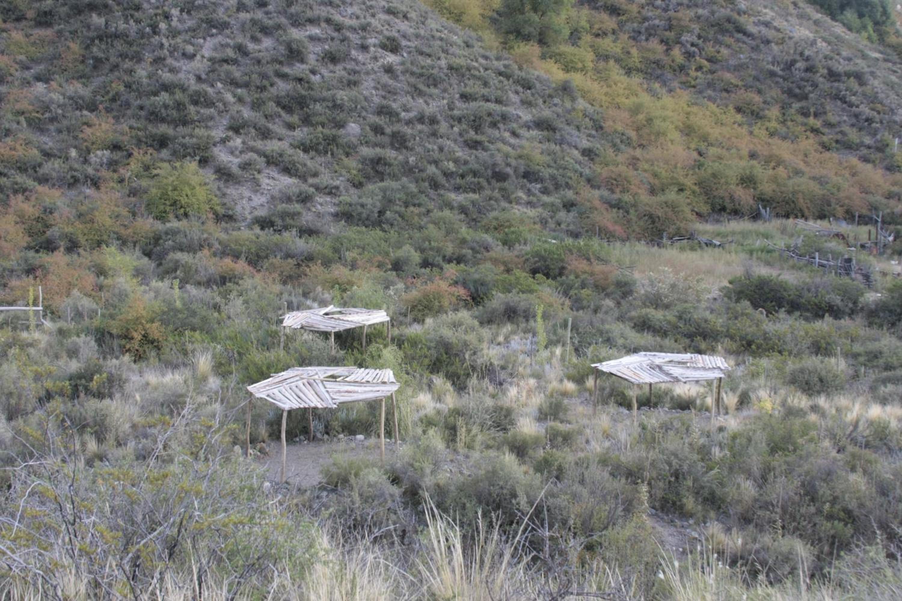 Domos Andinos HostCamp