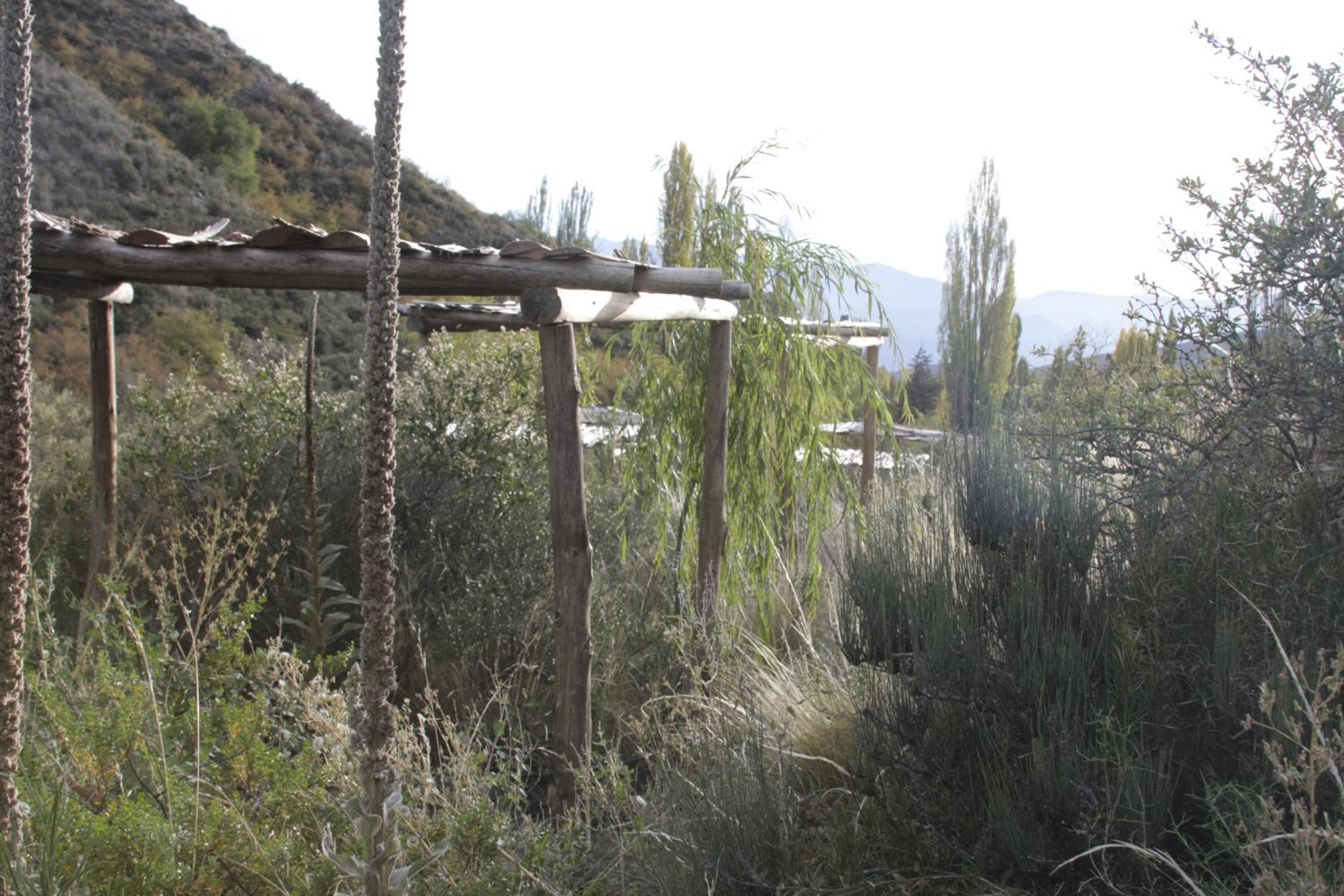 Domos Andinos HostCamp