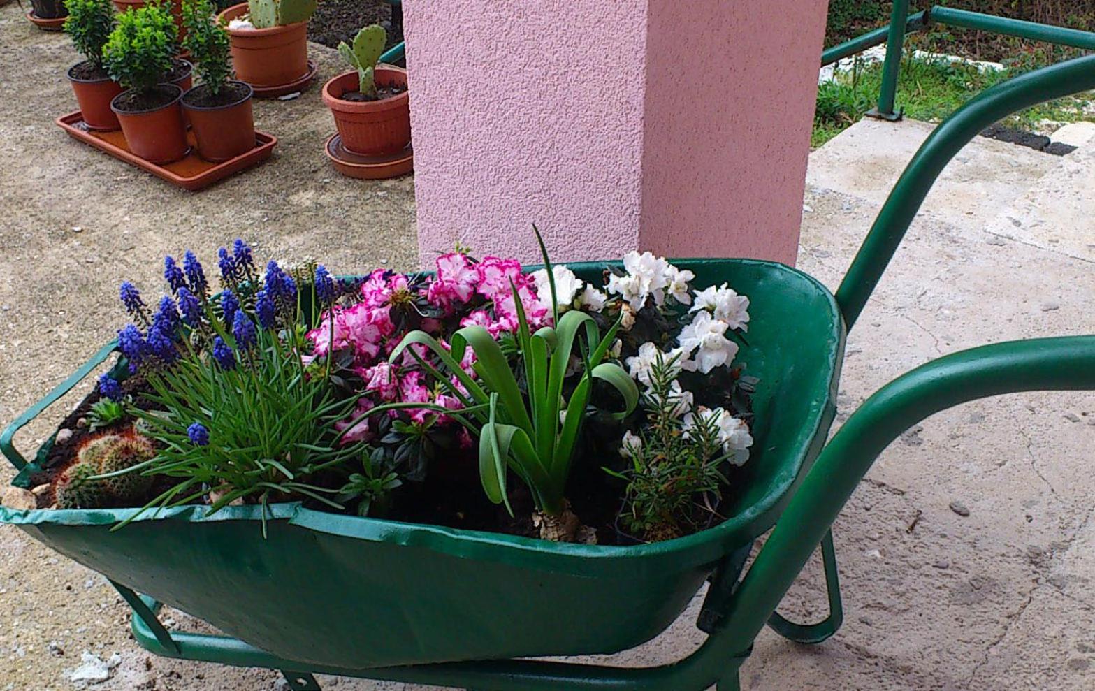 Photo 64
