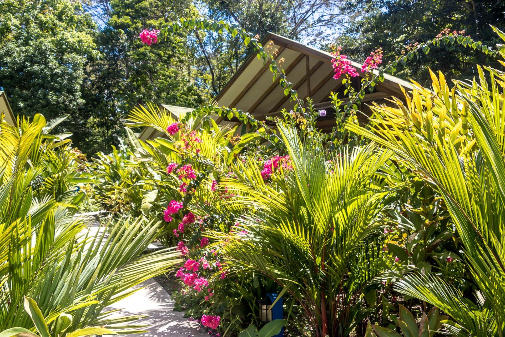 Relax Natural Village Adults Only