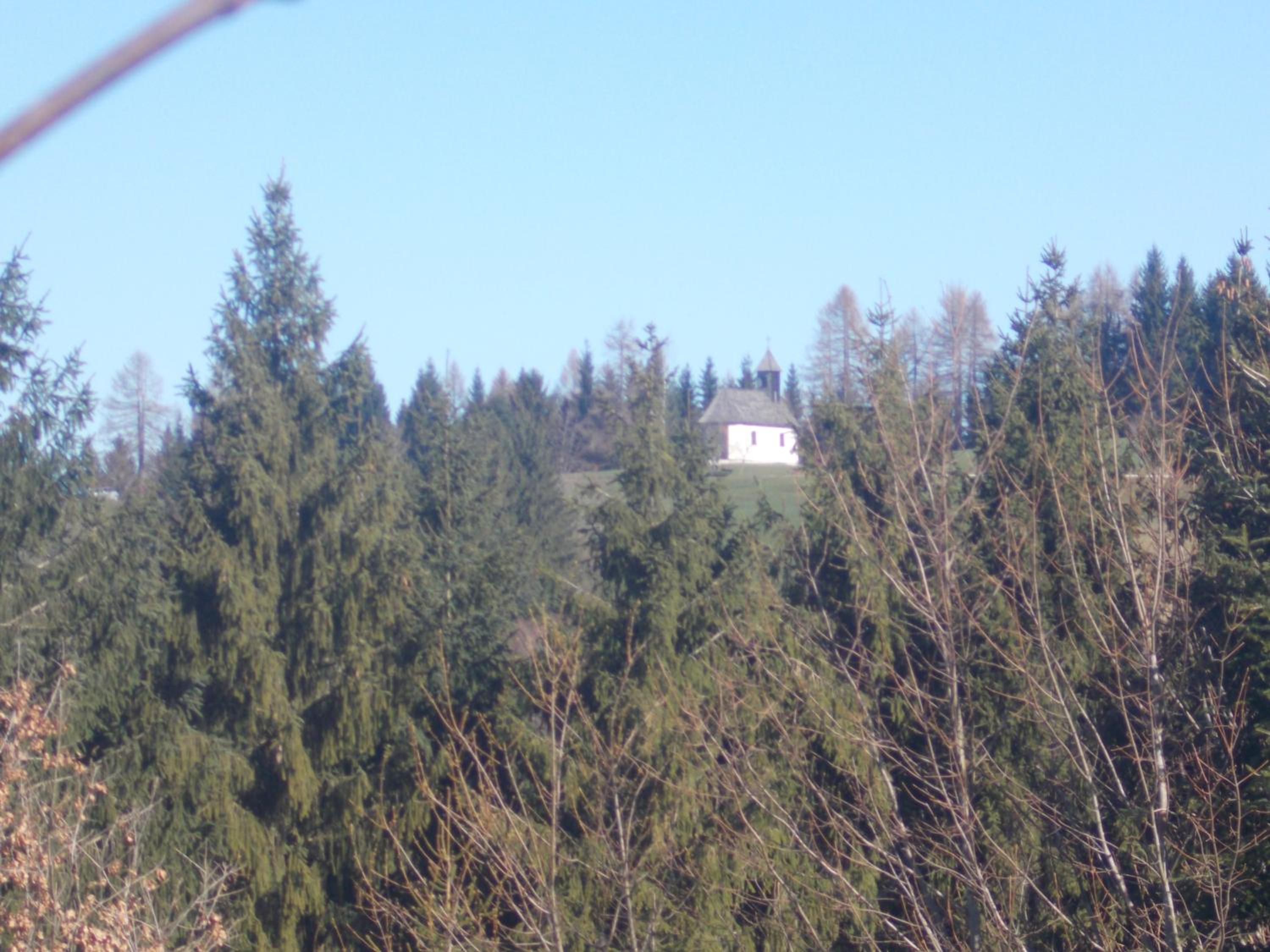 Bauernhof Moadl