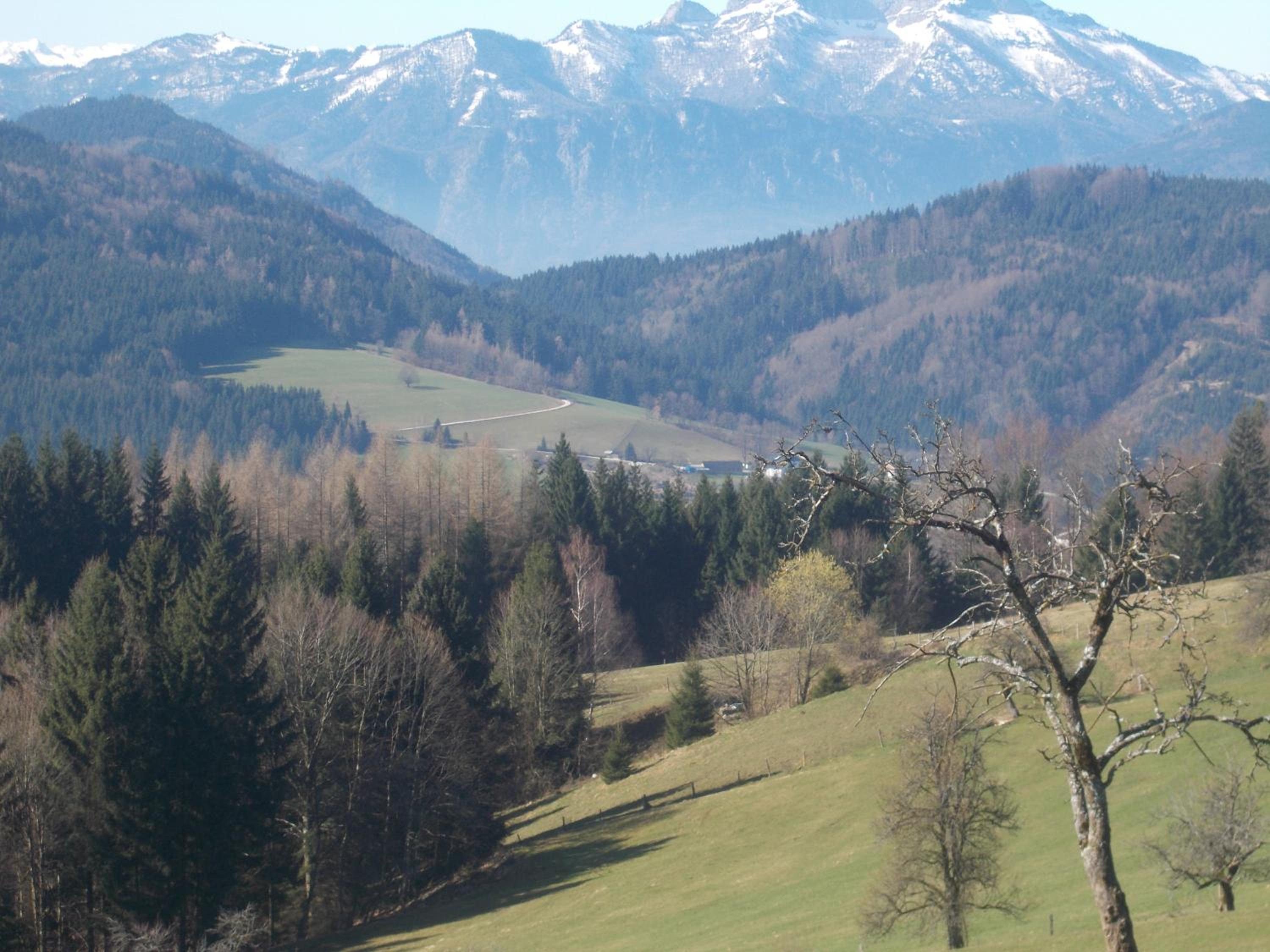 Bauernhof Moadl