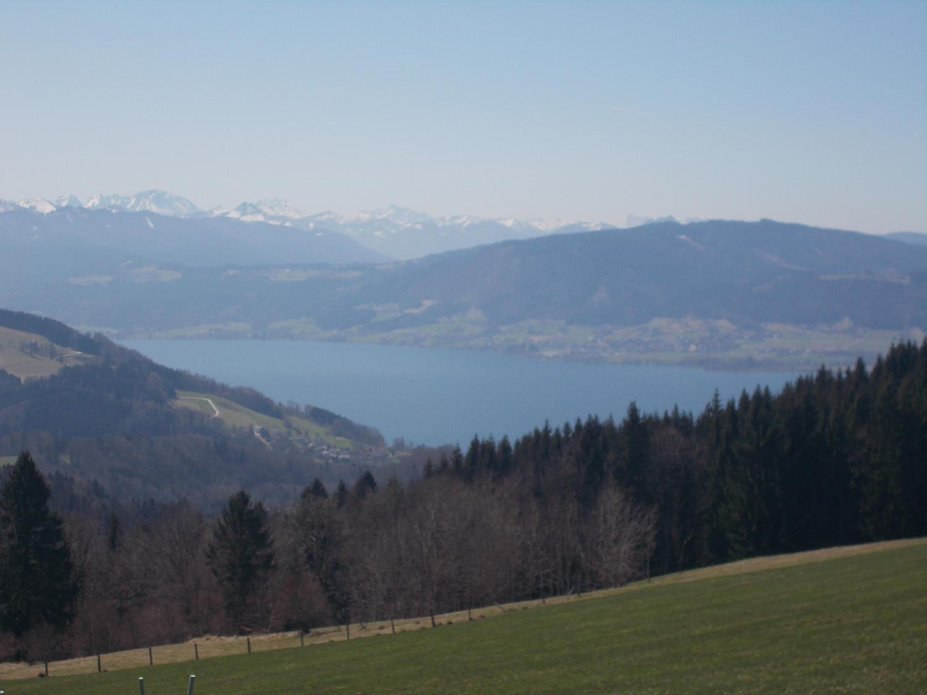 Bauernhof Moadl