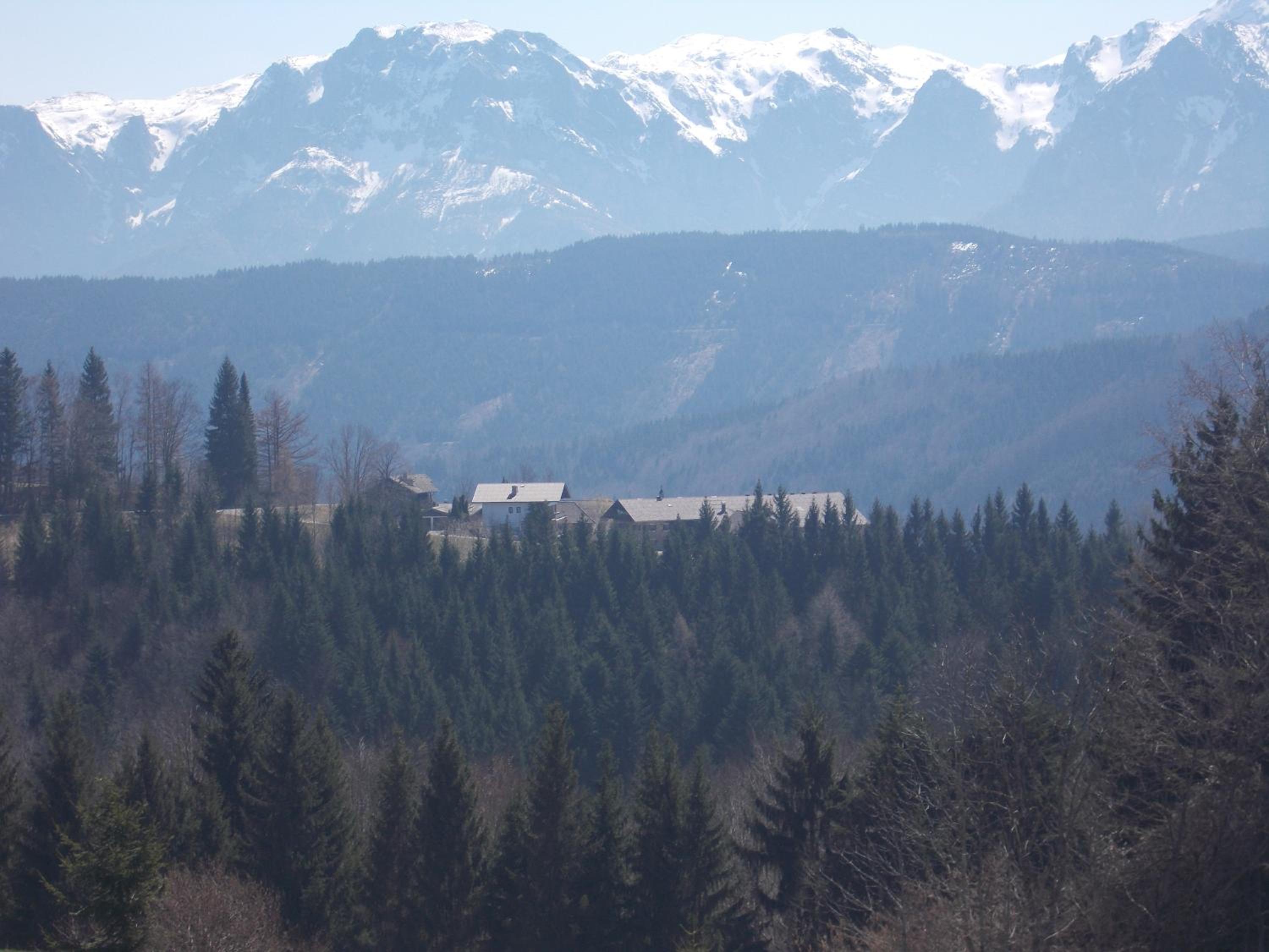 Bauernhof Moadl