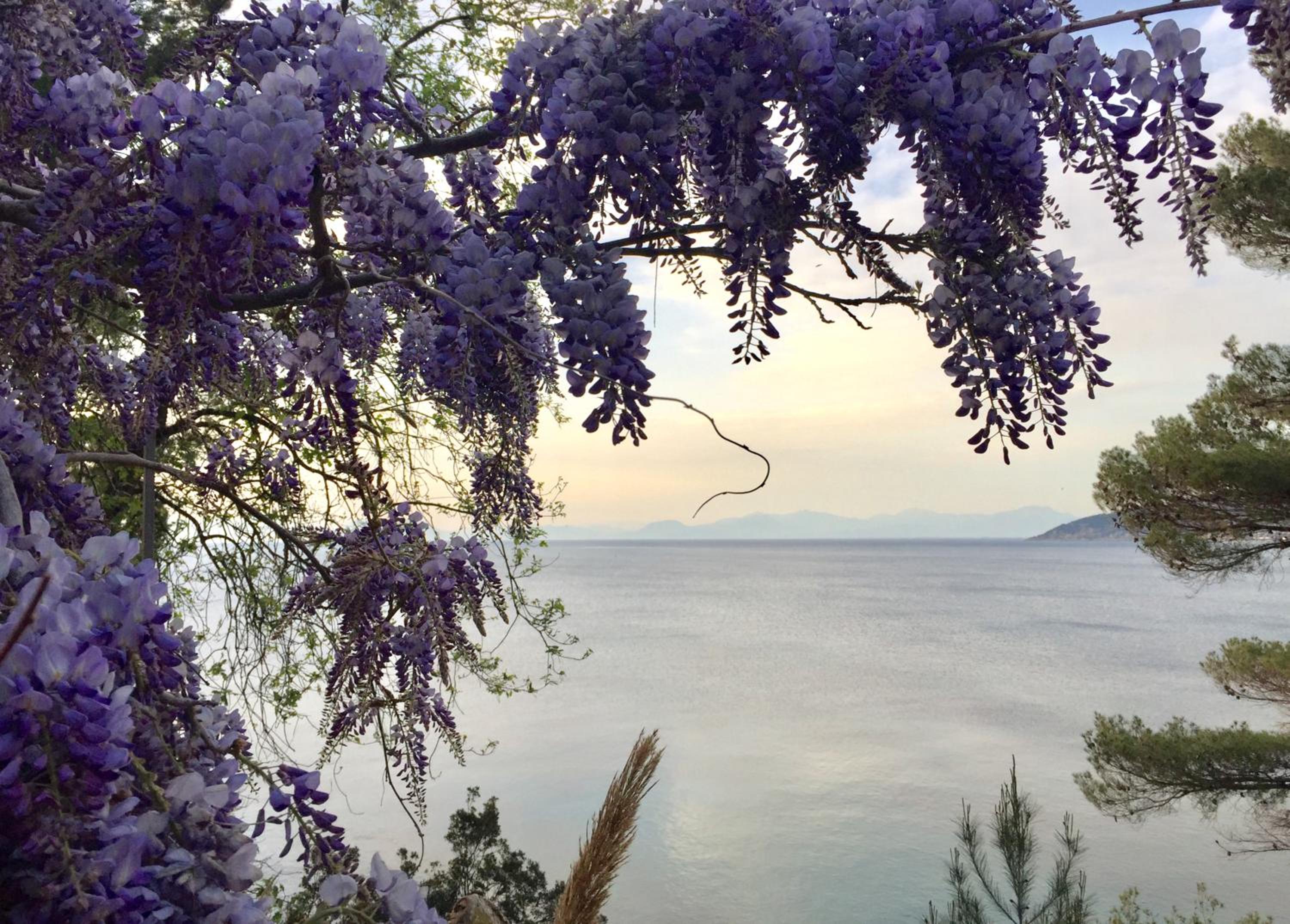 Enza Vacanze