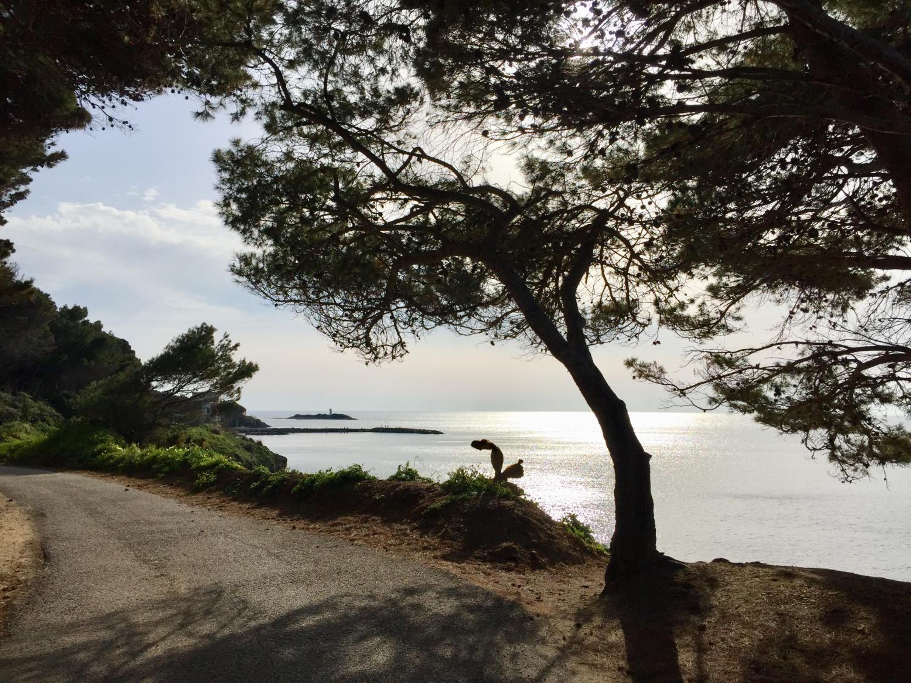 Enza Vacanze