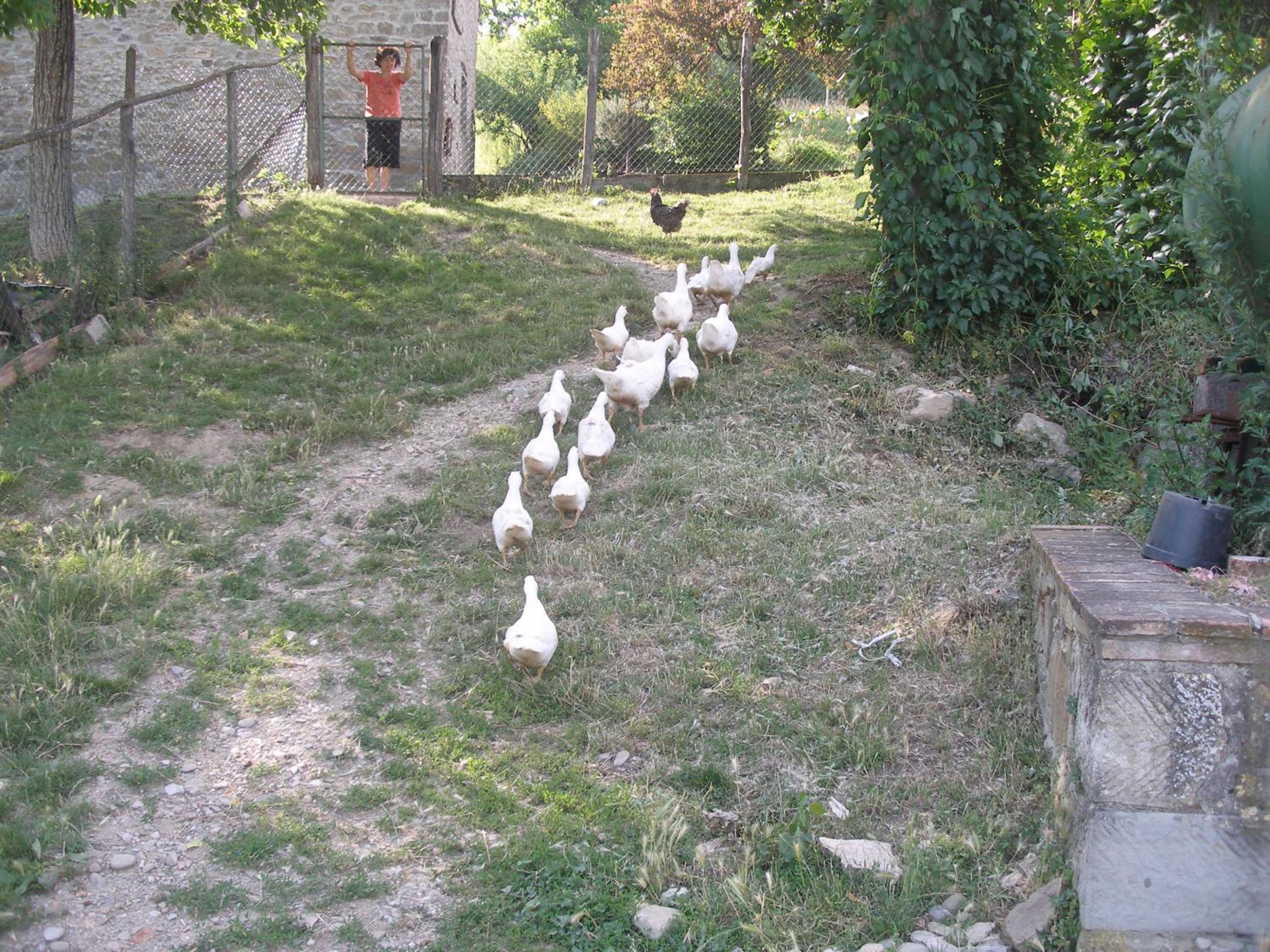 Photo 34