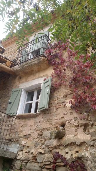 La casa dels ocells