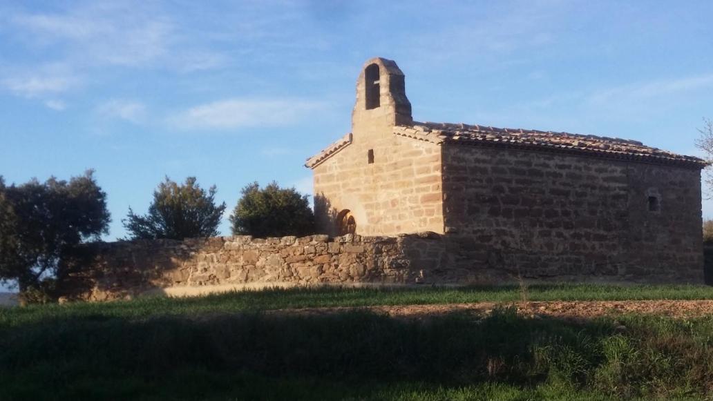 La casa dels ocells