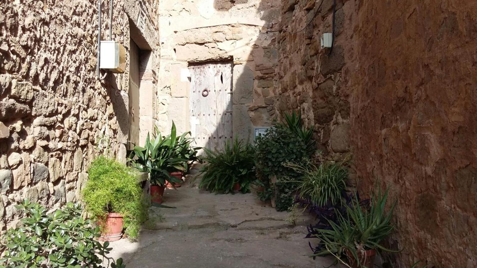 La casa dels ocells