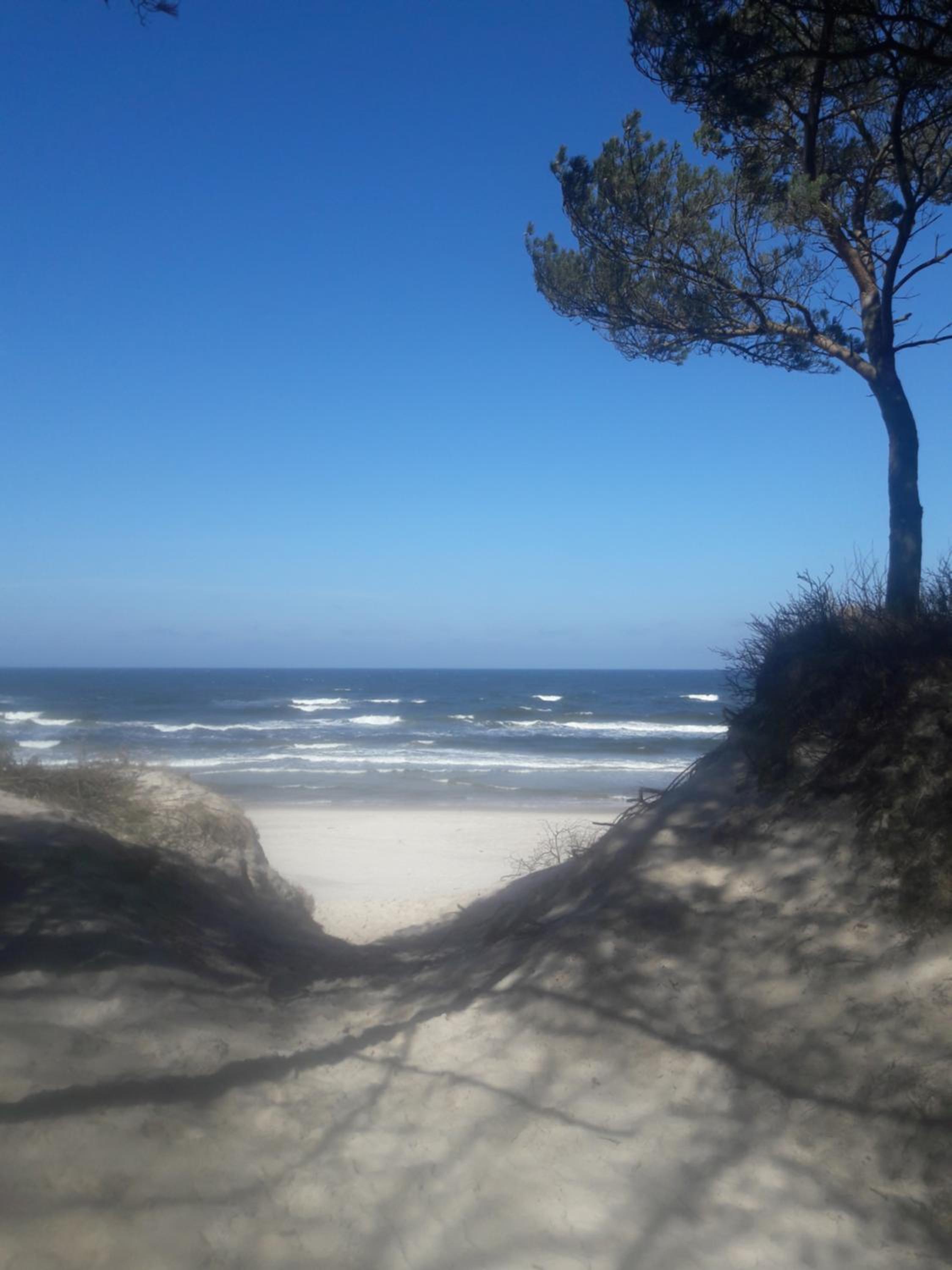 Photo 45