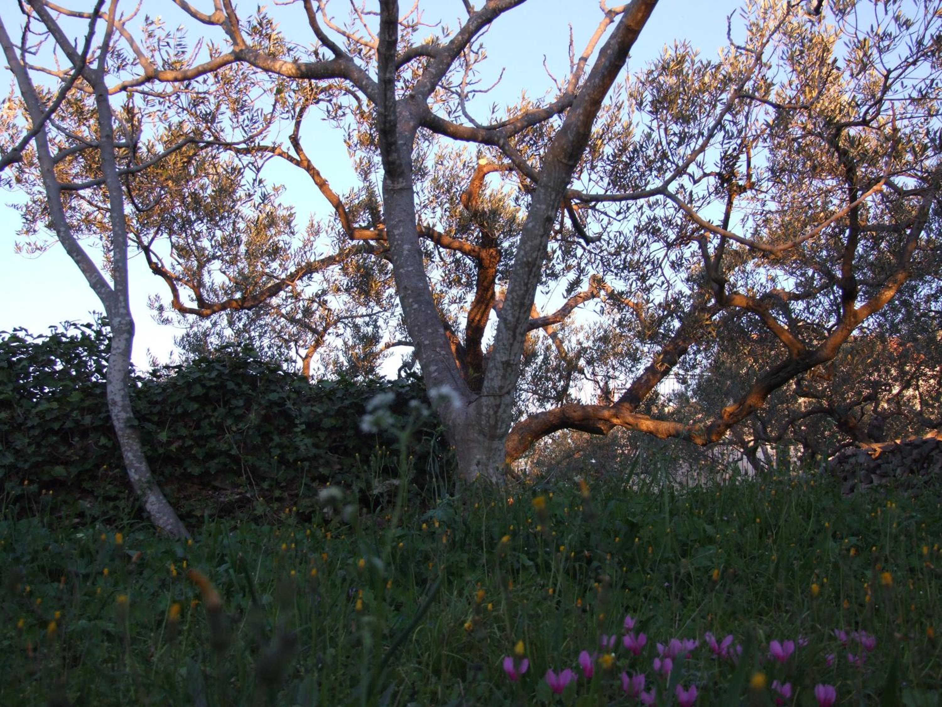 Photo 25