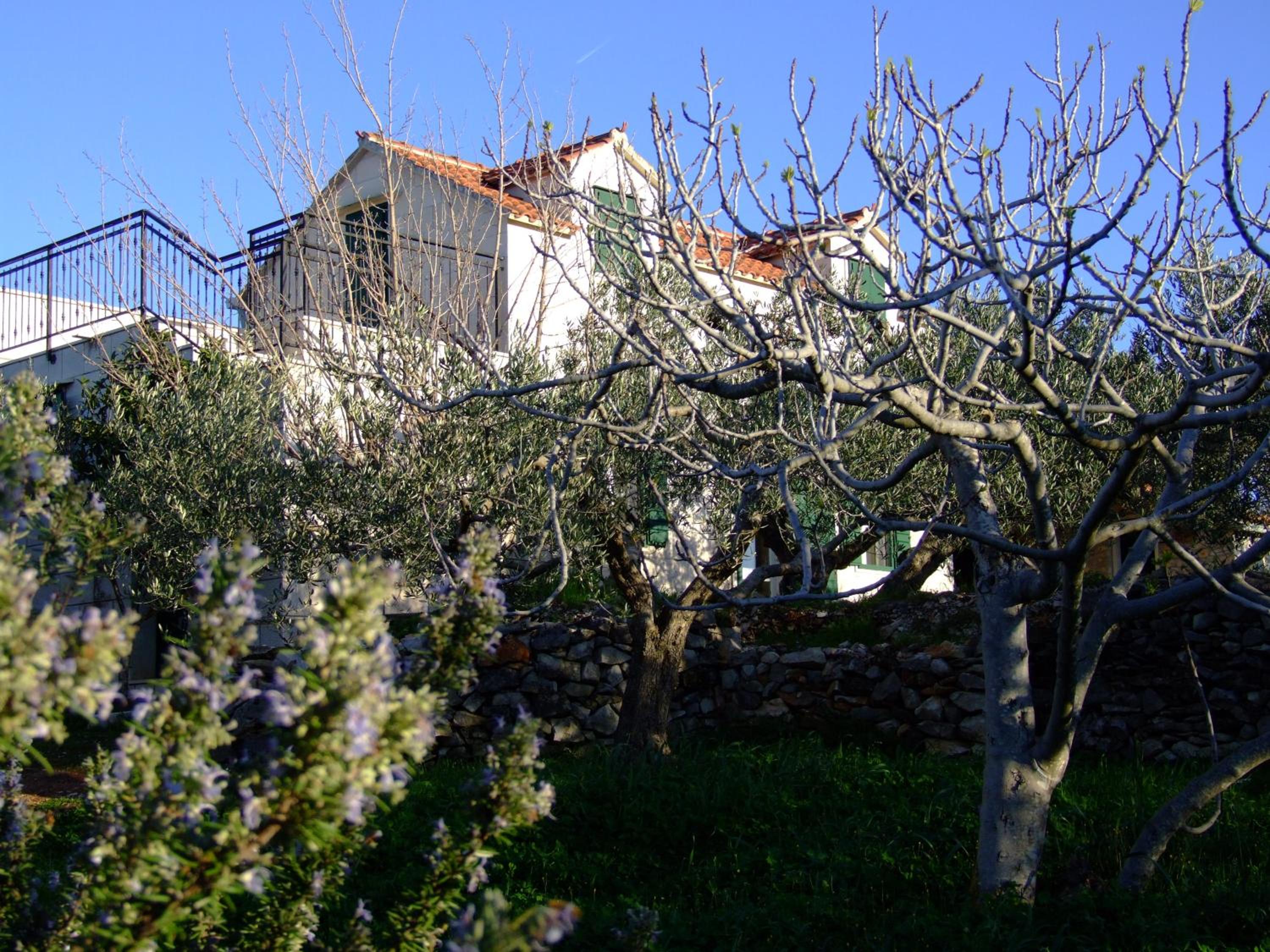 Photo 27