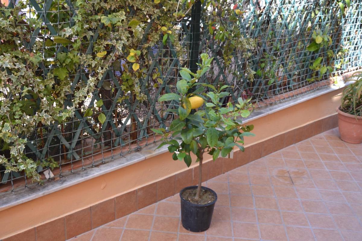 Casa Di Lia view 5