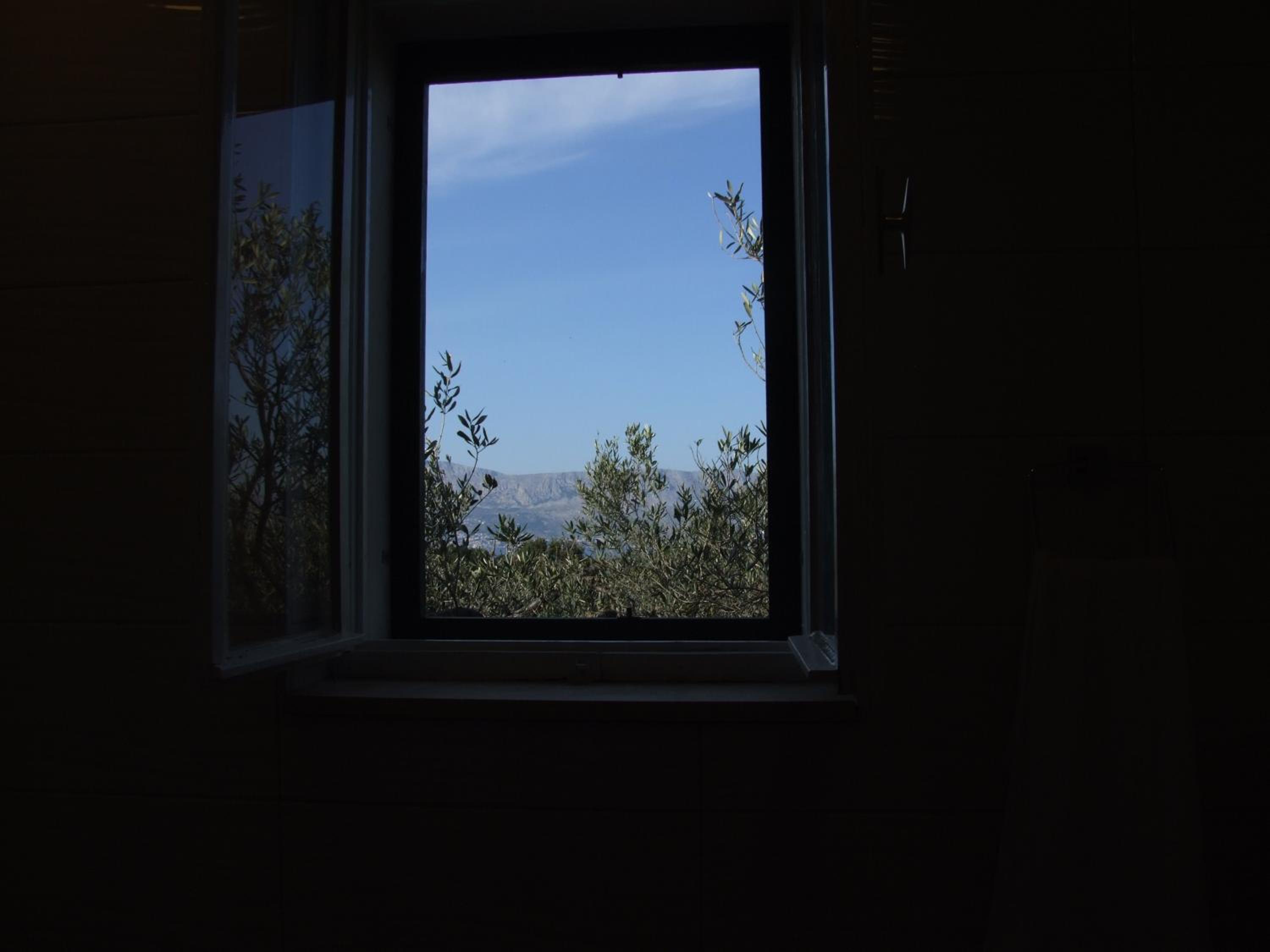 Photo 51