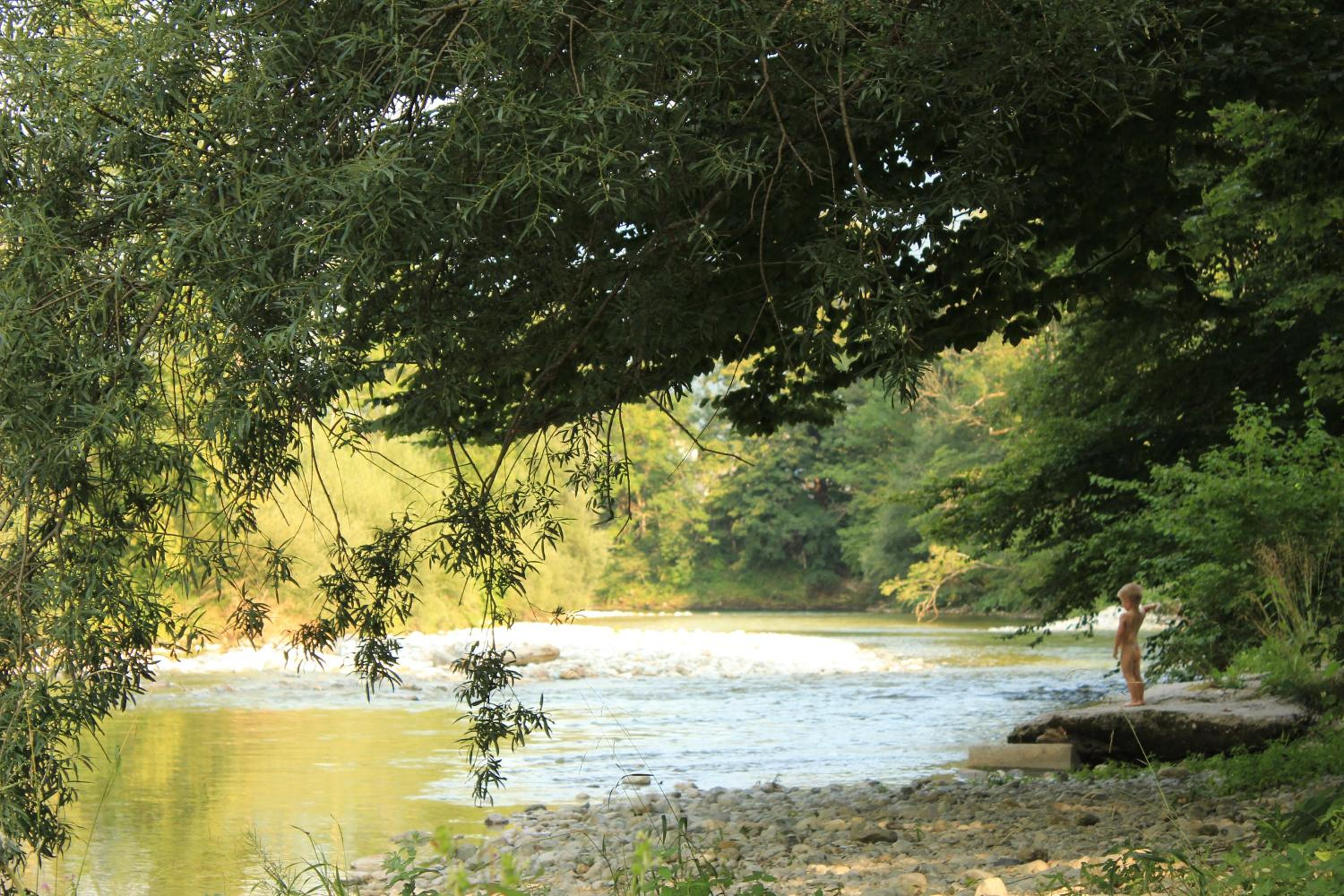 Photo 7