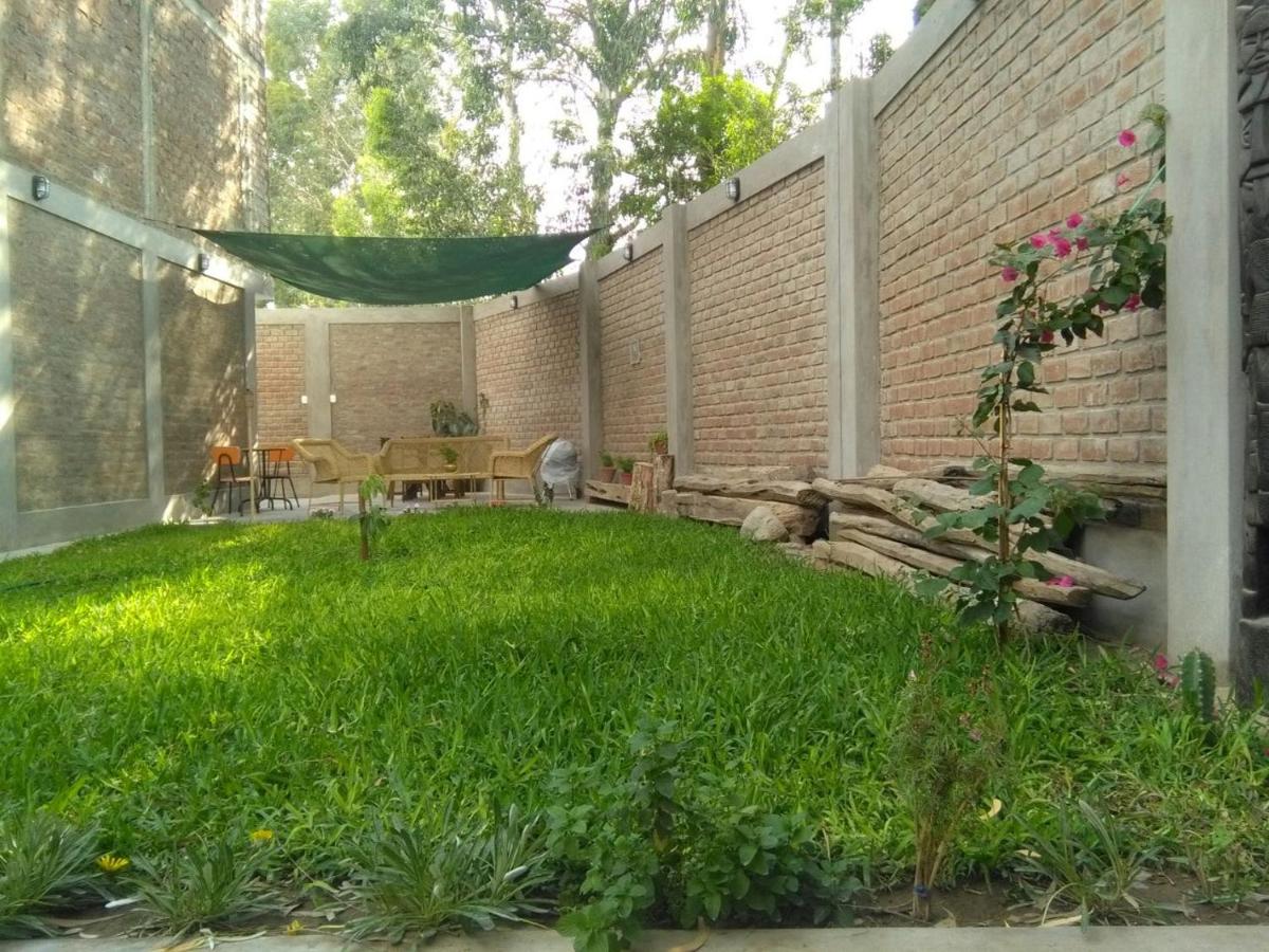 Diamond Monkey Lodge