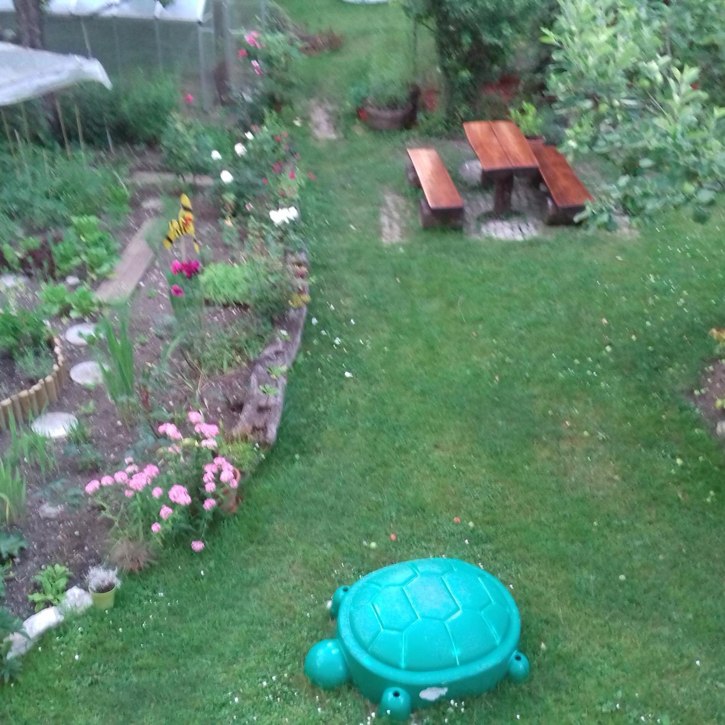 Photo 39