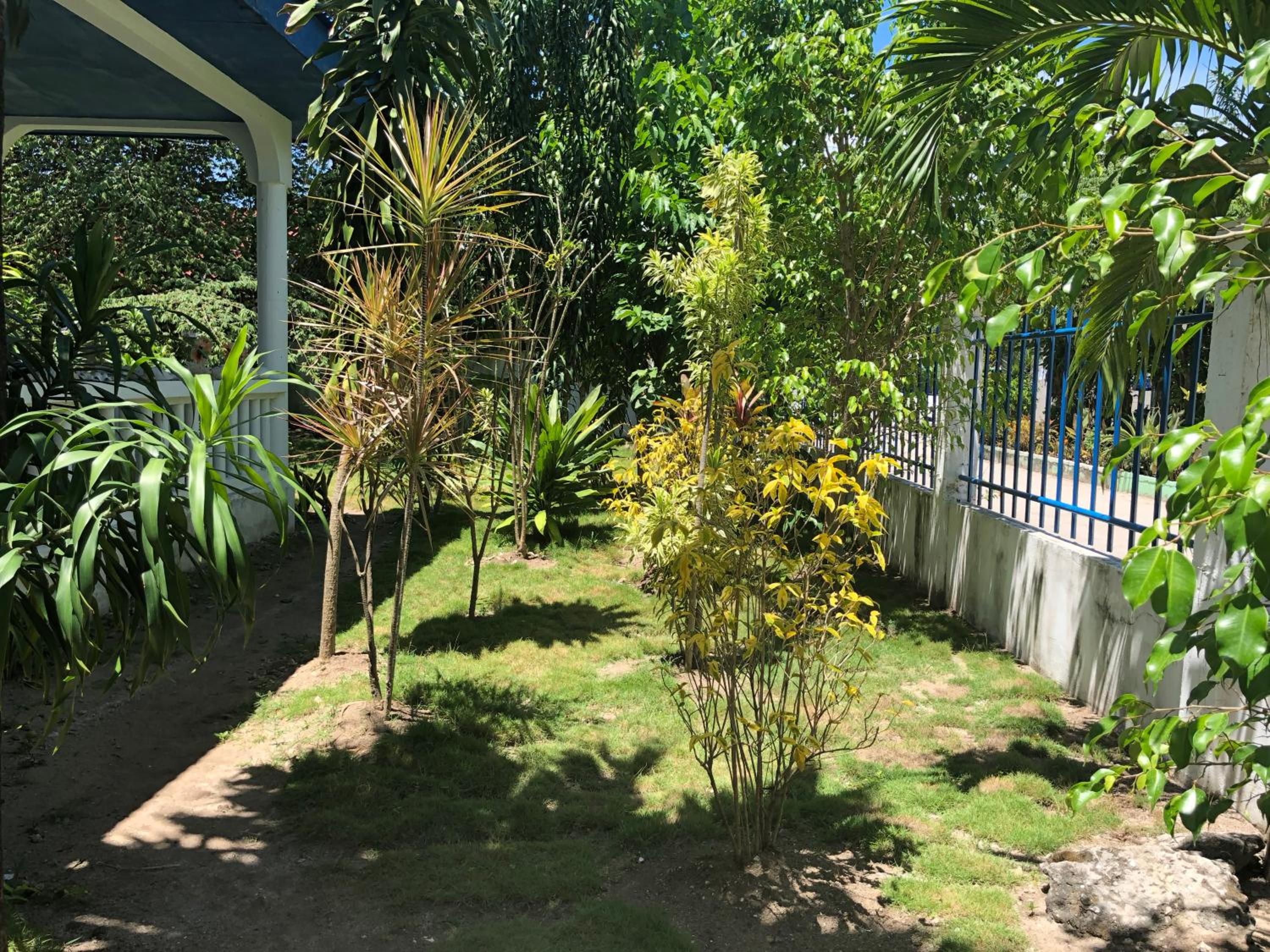 Photo 11