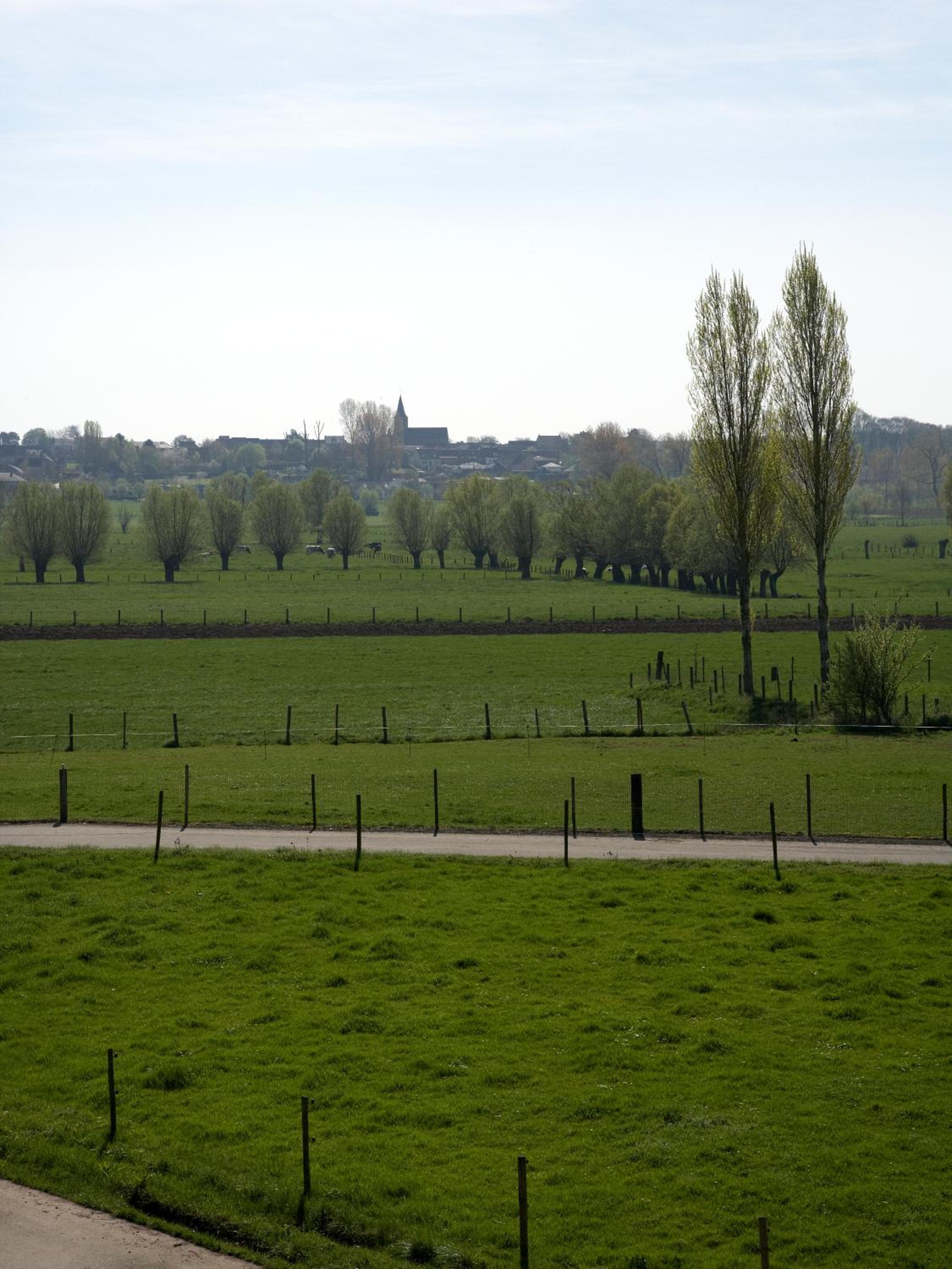 Photo 29