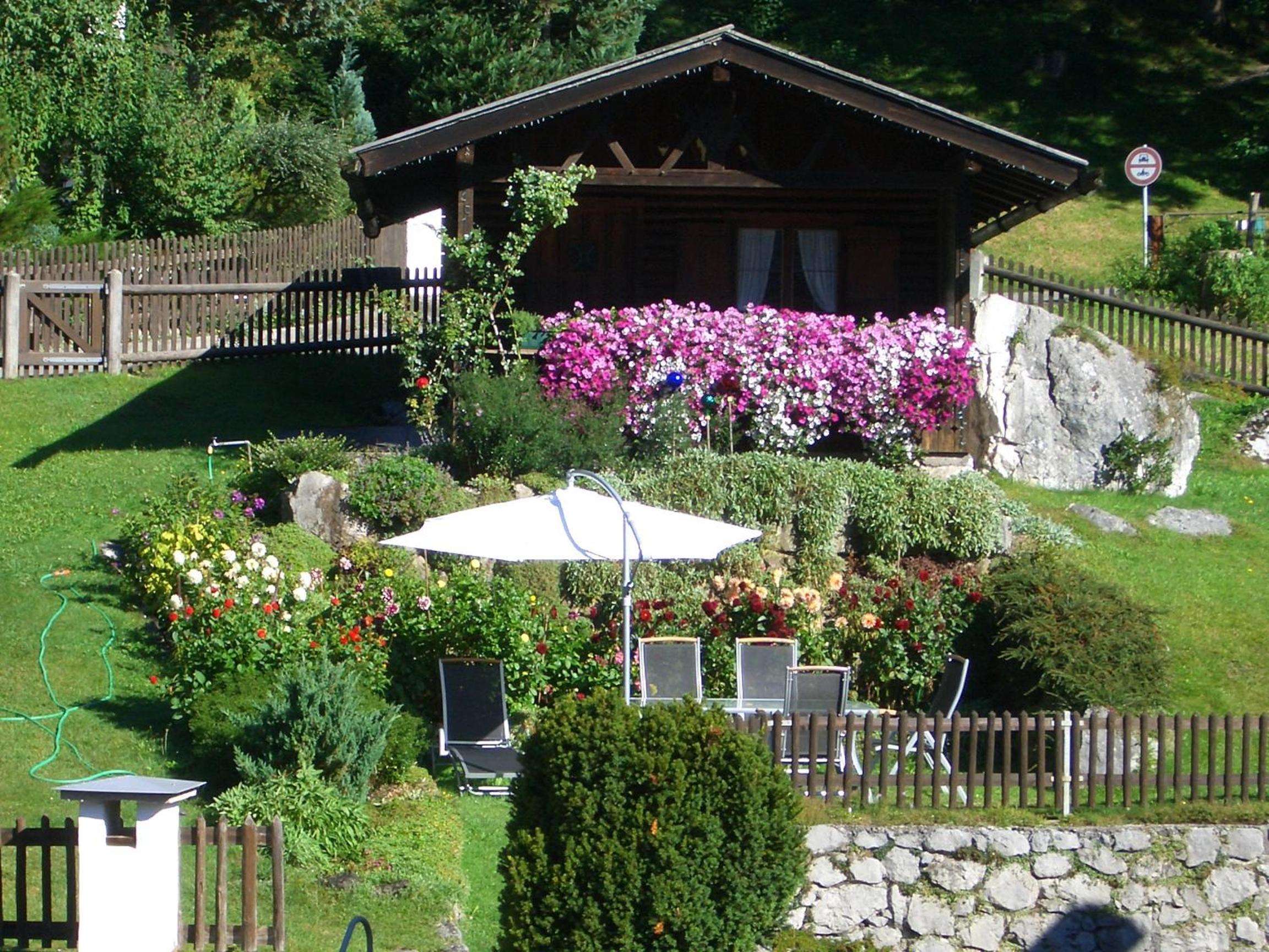 das Alpen Natur Idyll