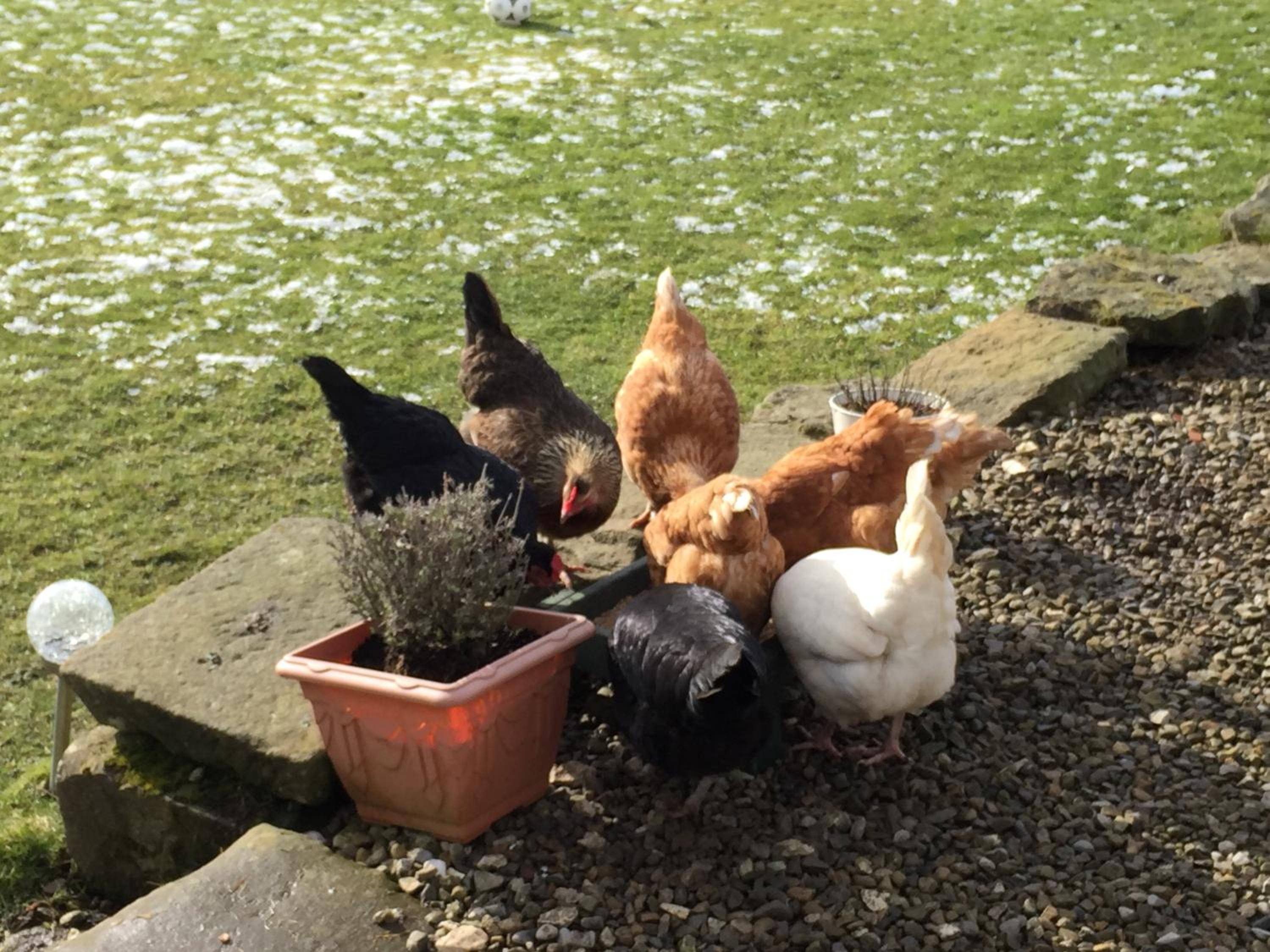 Folly Hall Farm