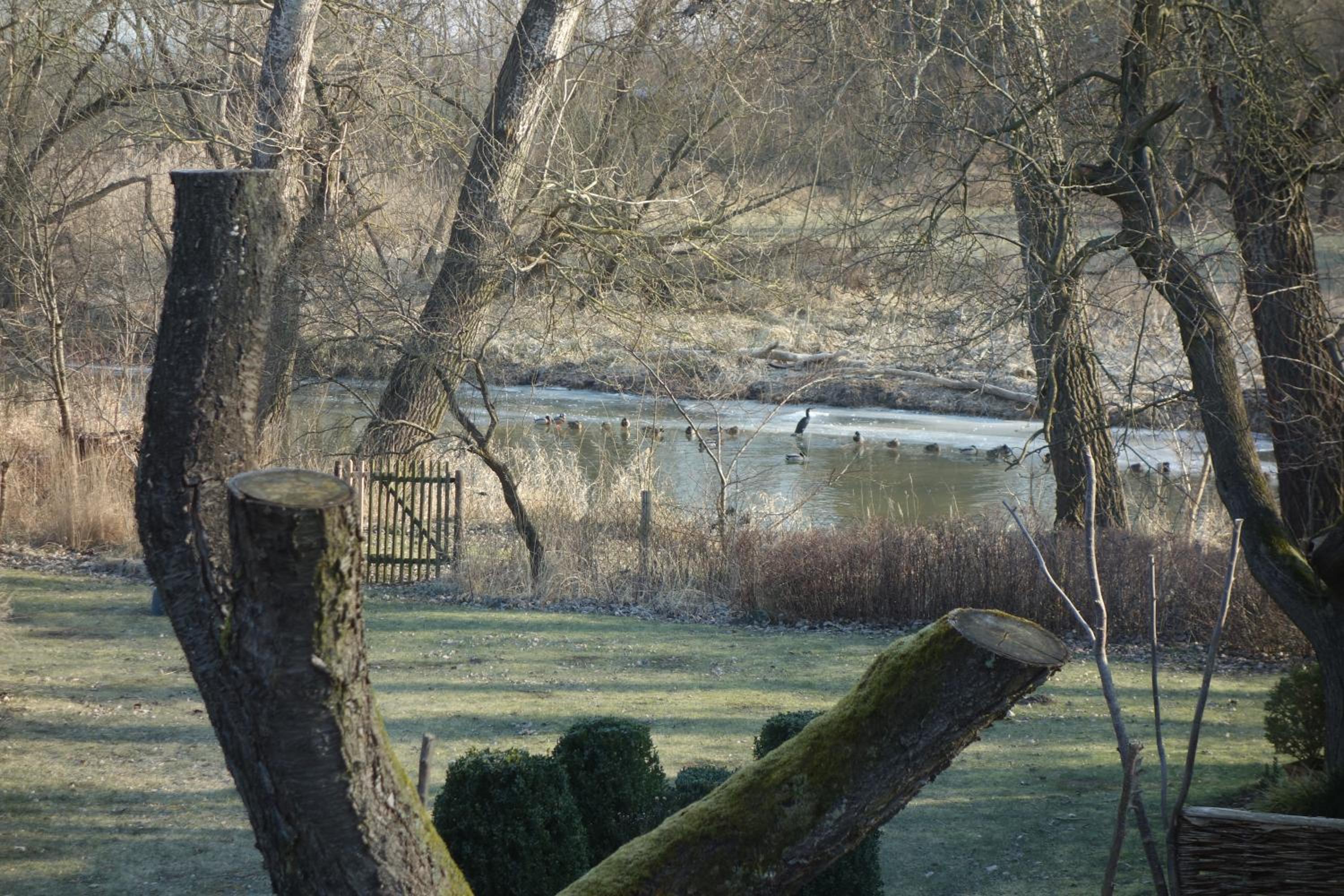 Fachwerkhaus am Fluss