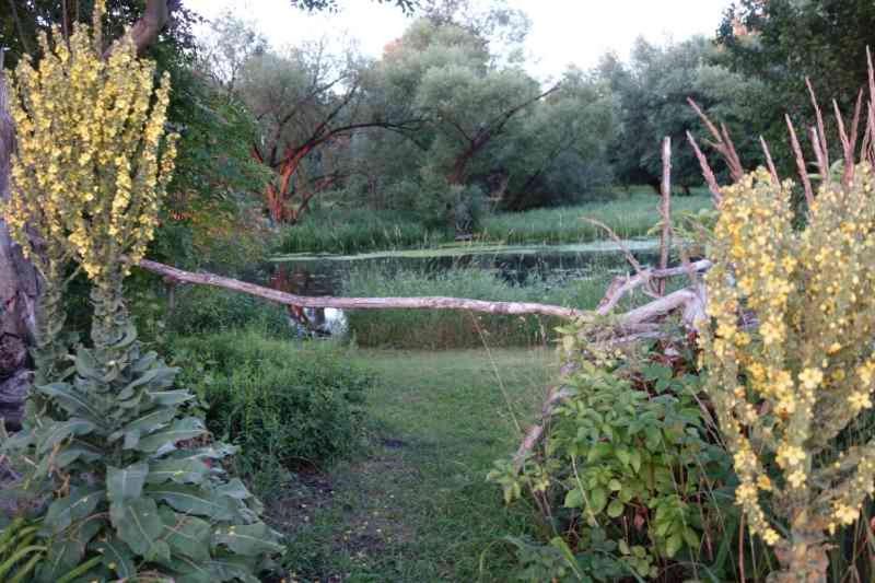 Fachwerkhaus am Fluss