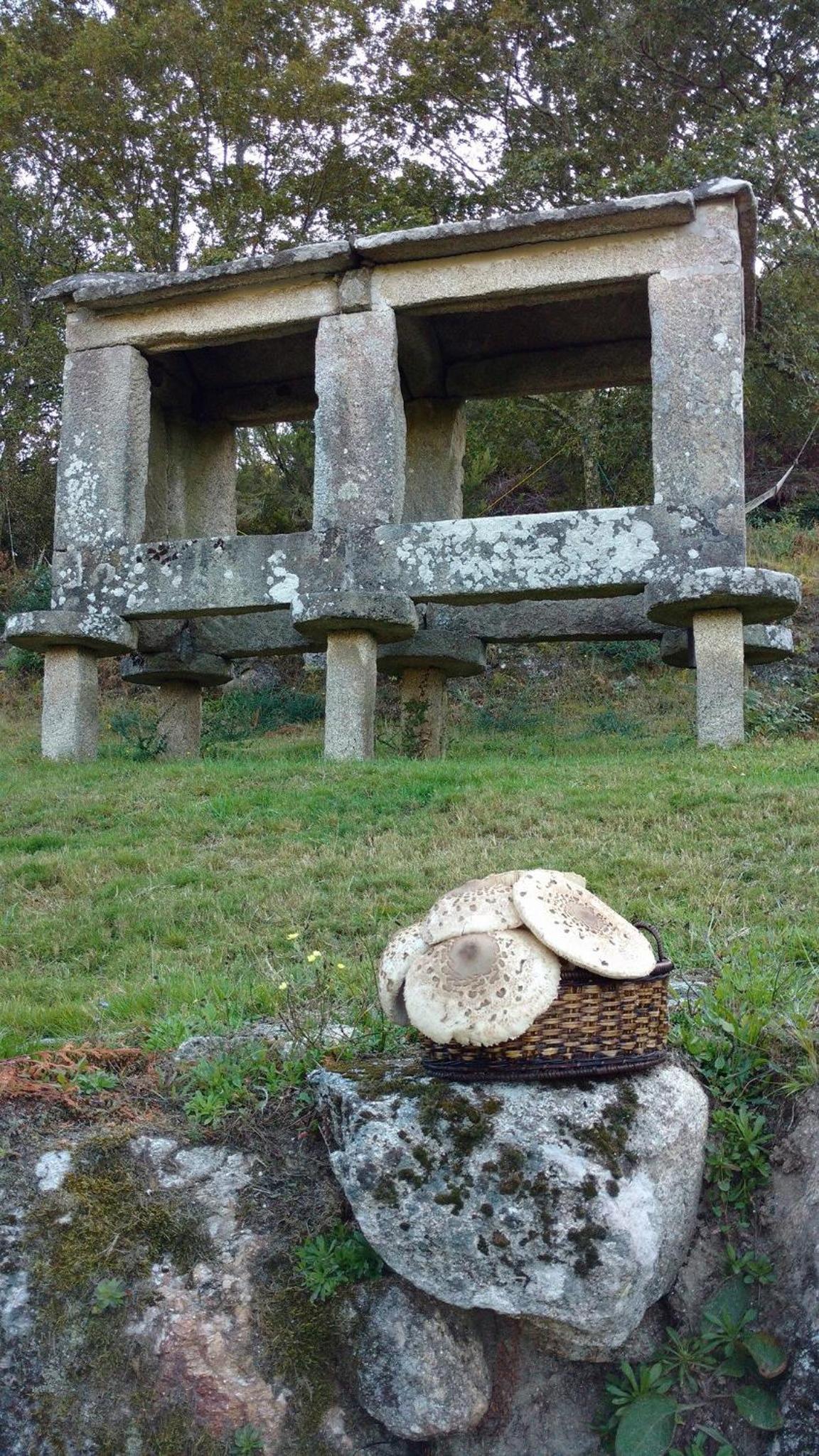 Casa D'Agosto