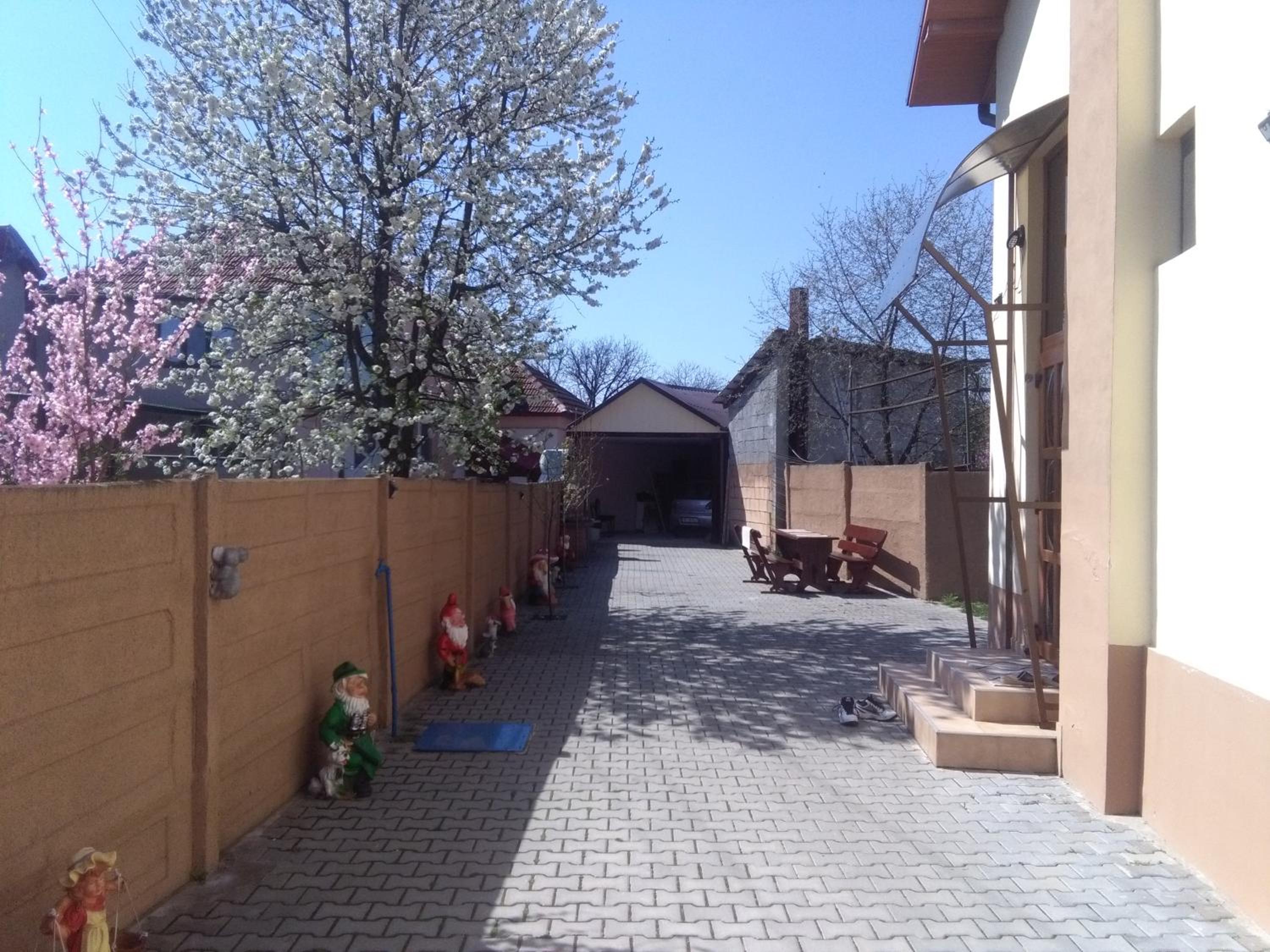 Photo 46
