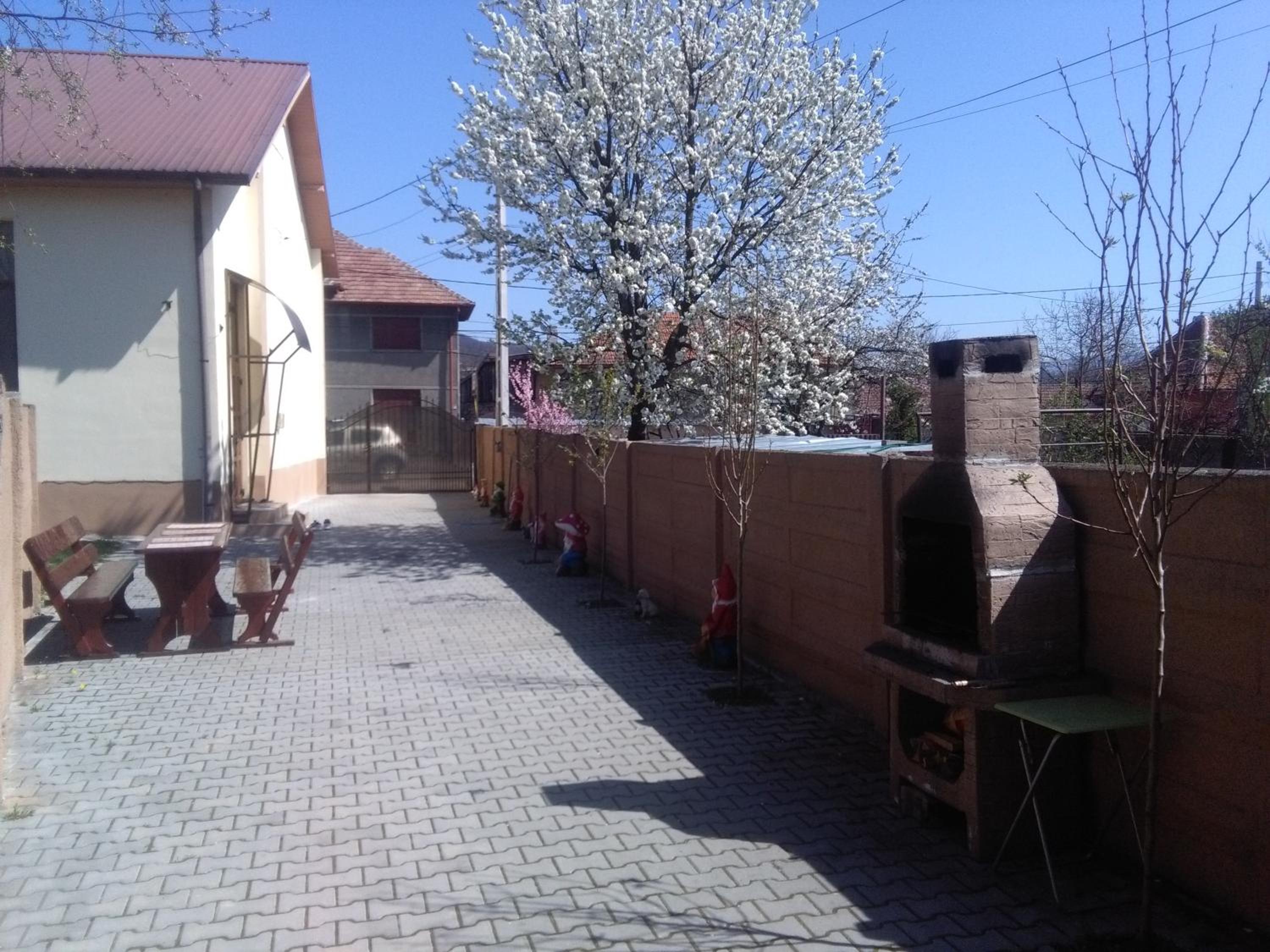 Photo 45