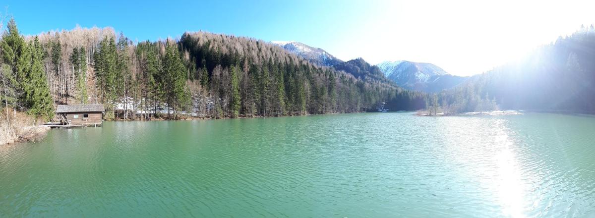 Ferienhaus Mountain View