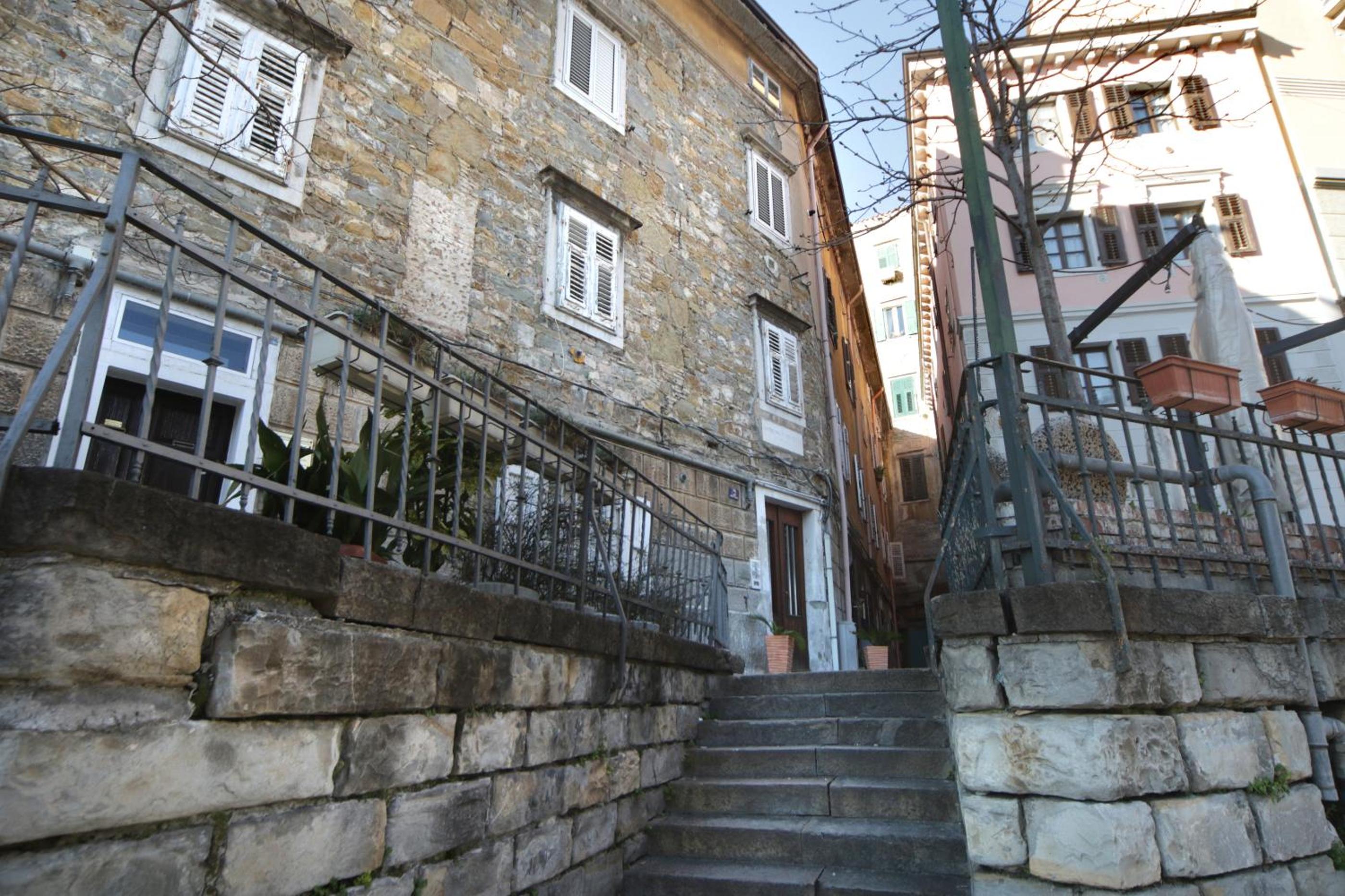 Photo 51
