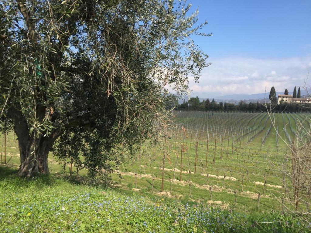 Tenuta La Cà view 3