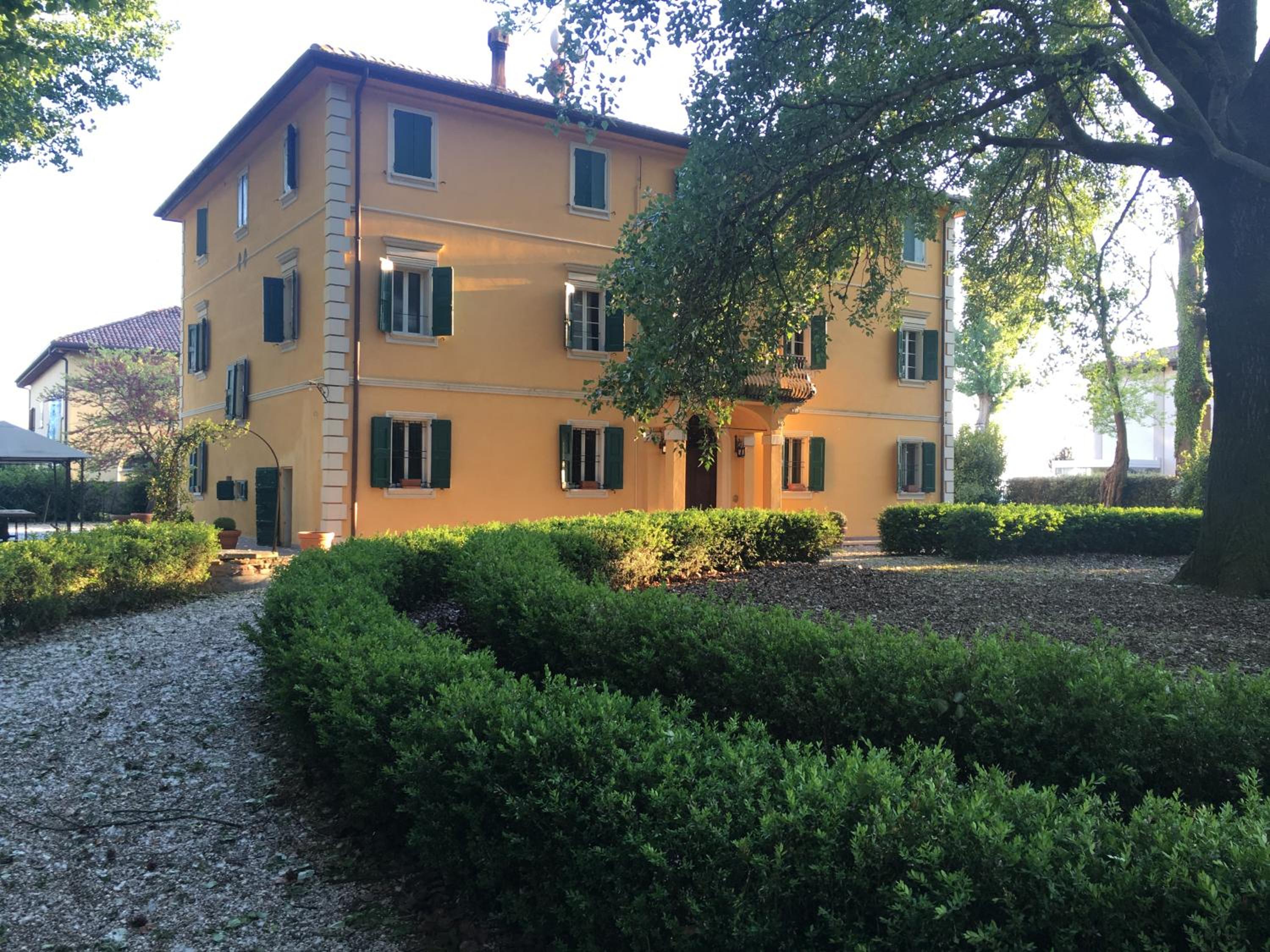 Photo 42
