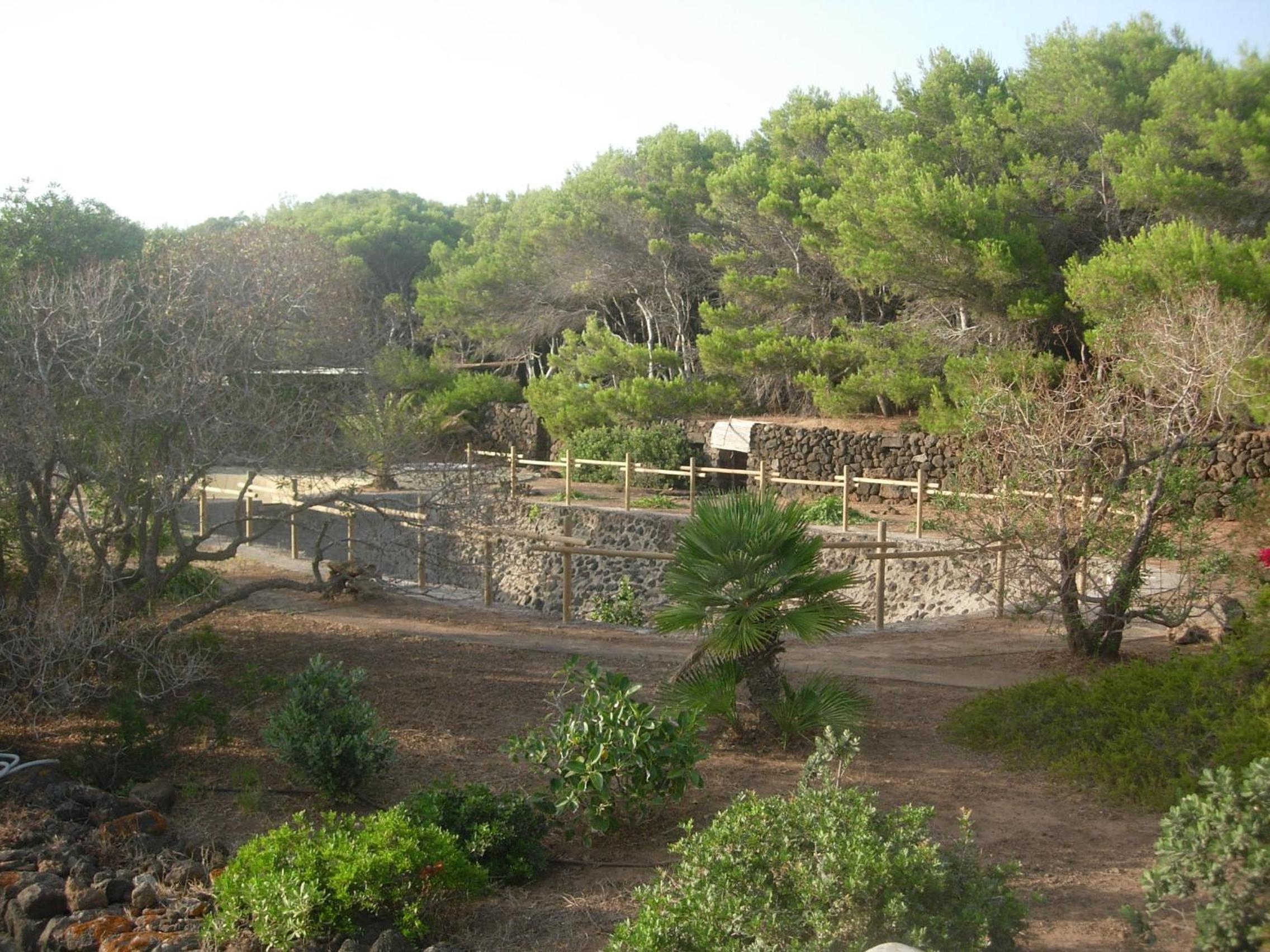 Photo 47