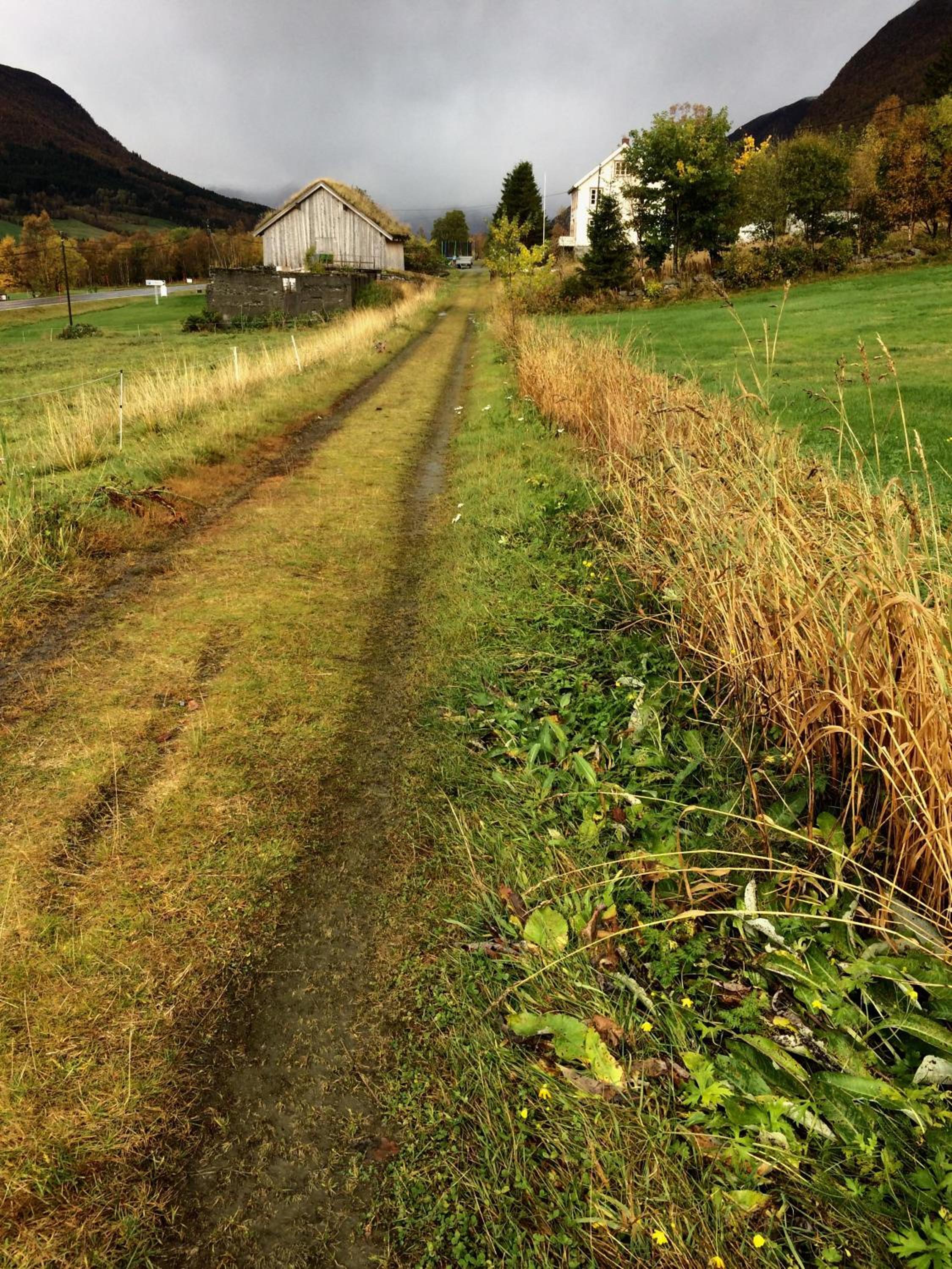 Photo 19
