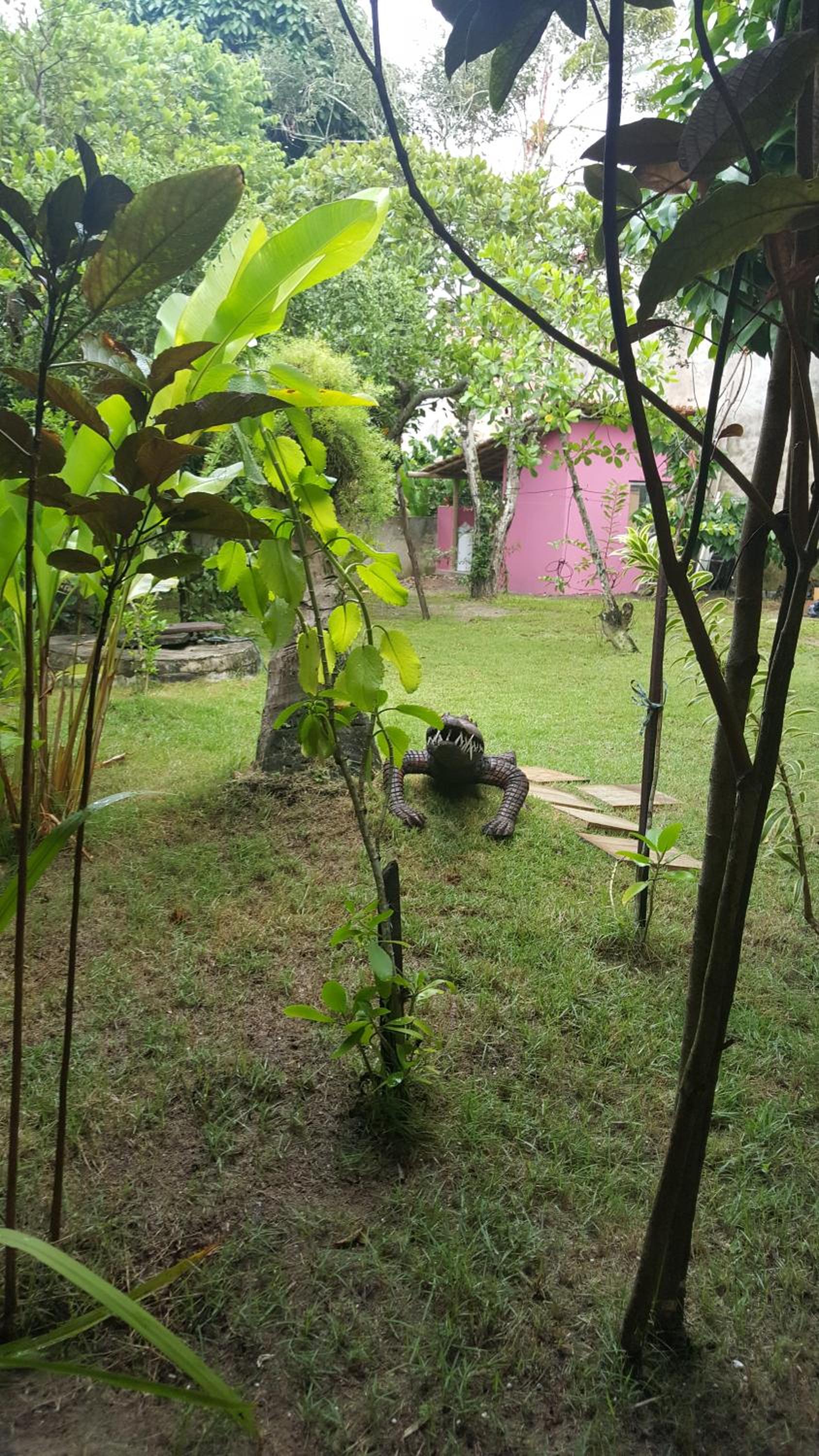 Photo 62