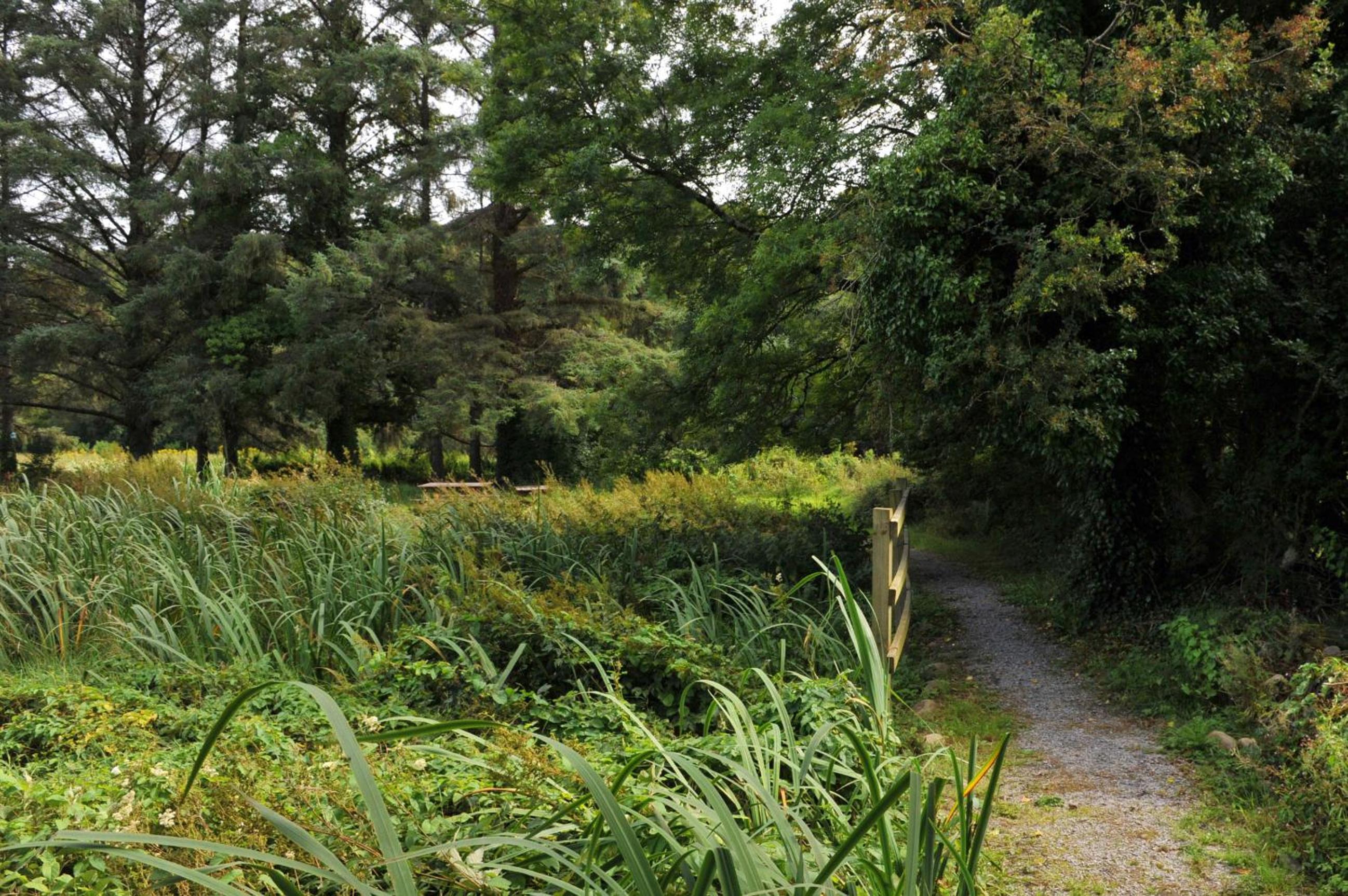 Killarney Glamping at the Grove, Suites and Lodges