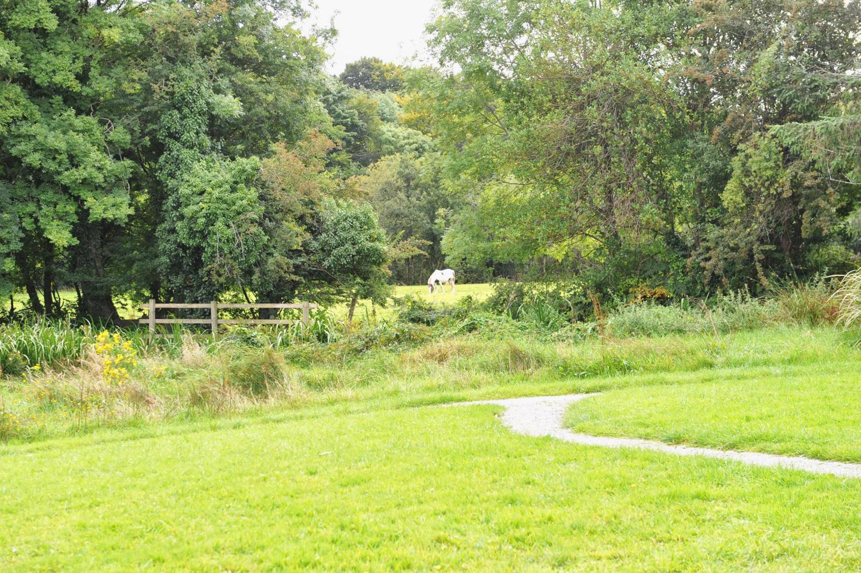 Killarney Glamping at the Grove, Suites and Lodges
