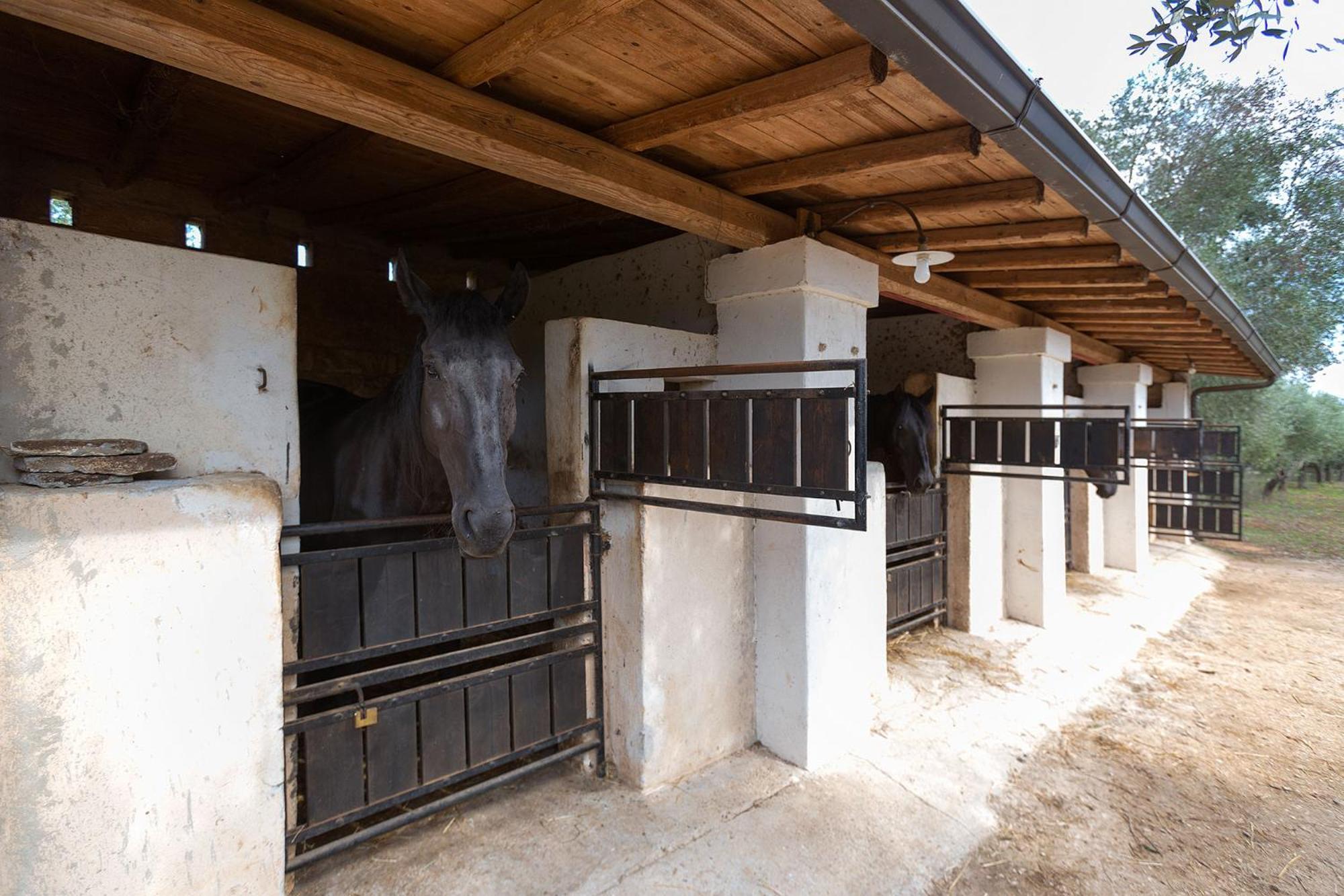 Casale del Forno