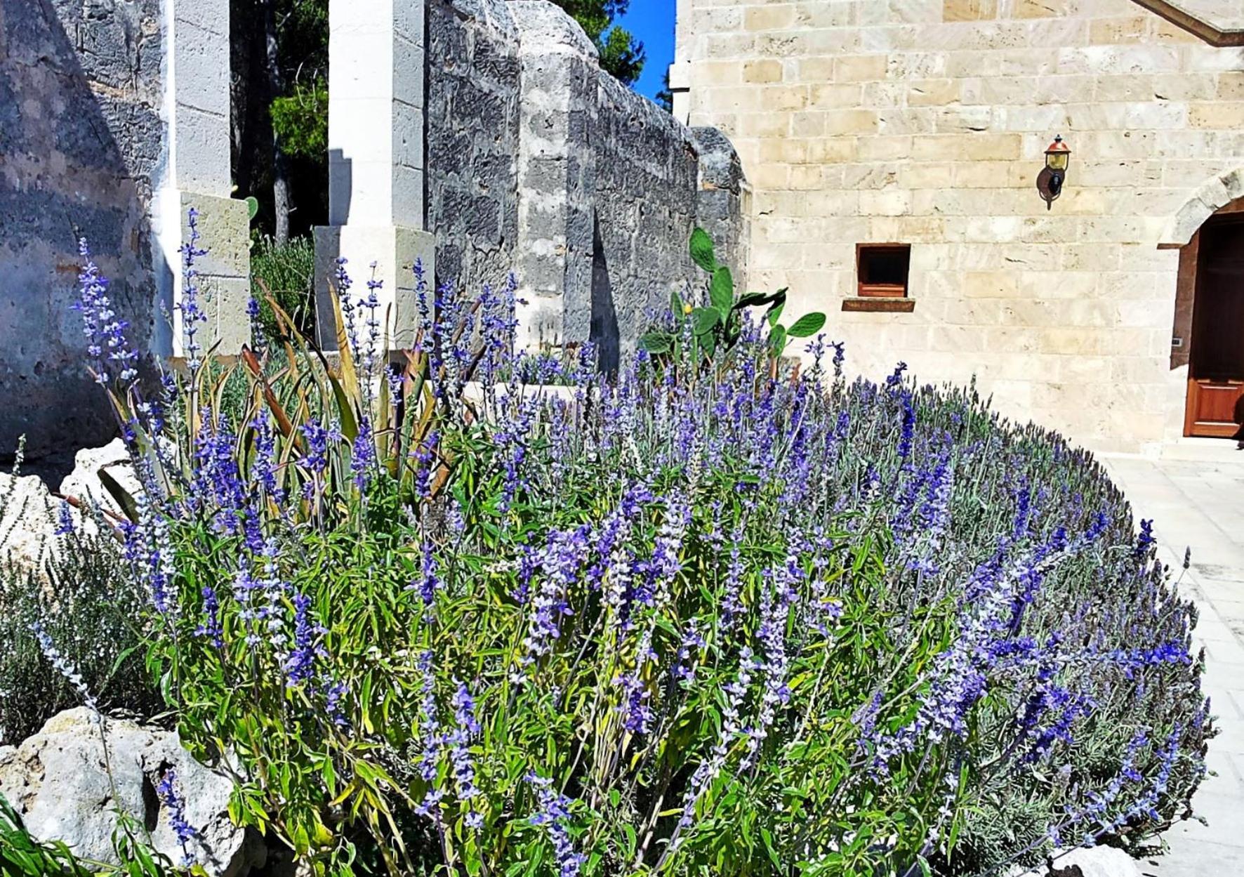 Masseria Caliani