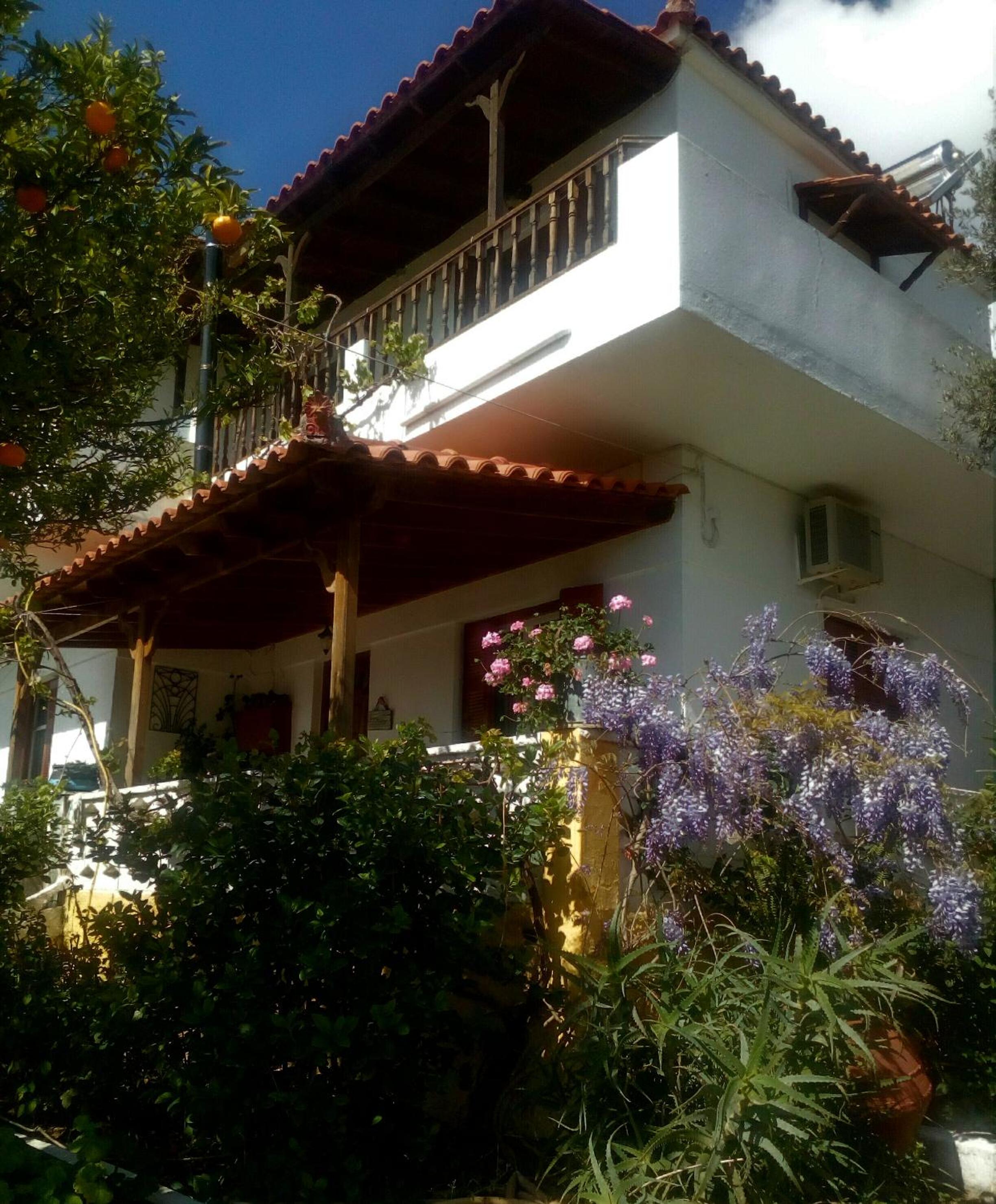 Hotel Tiki Rooms - Image 1