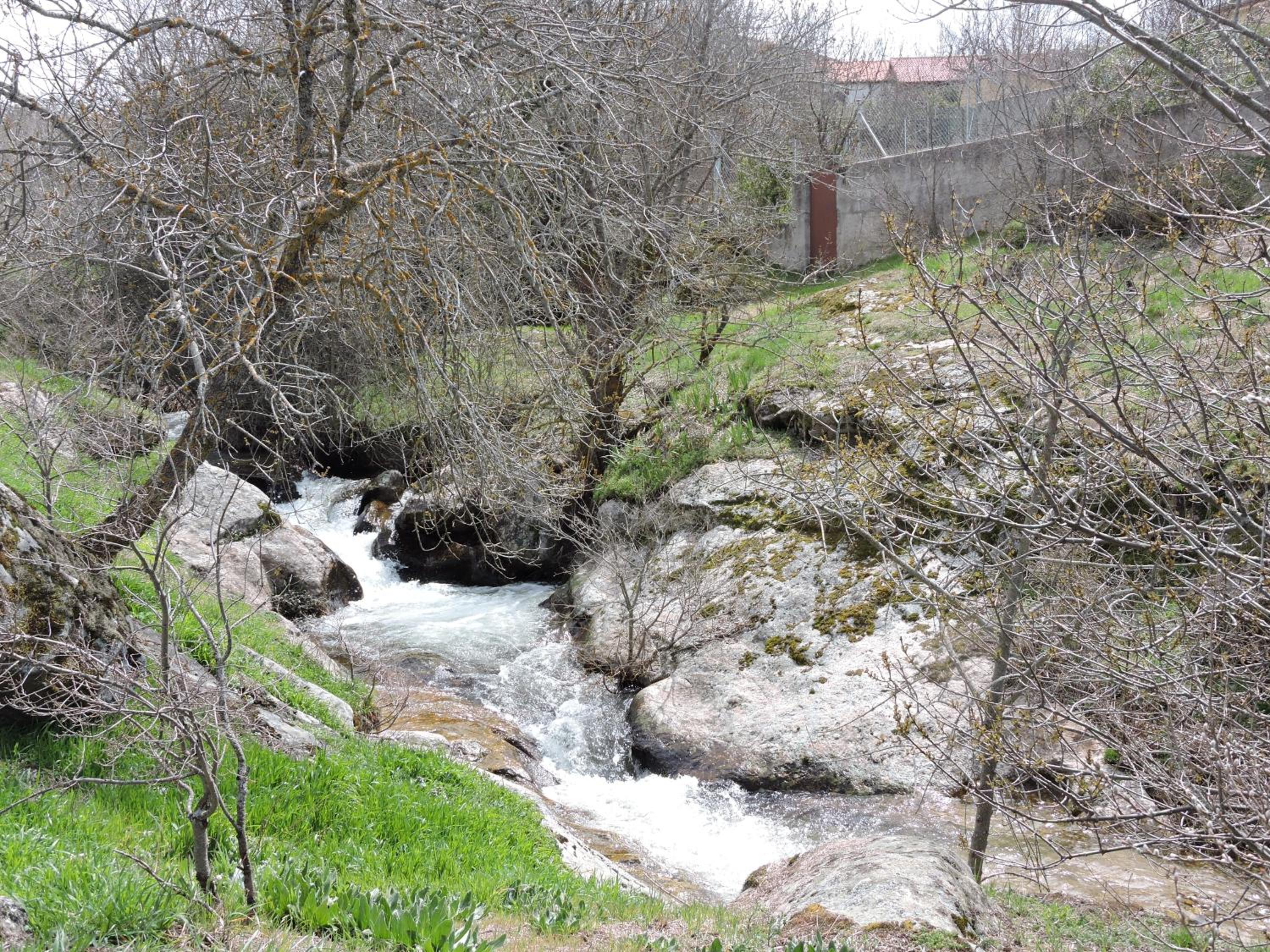 Photo 33
