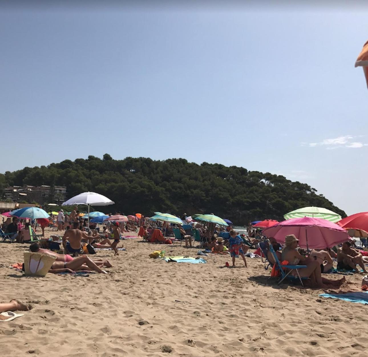Photo 44