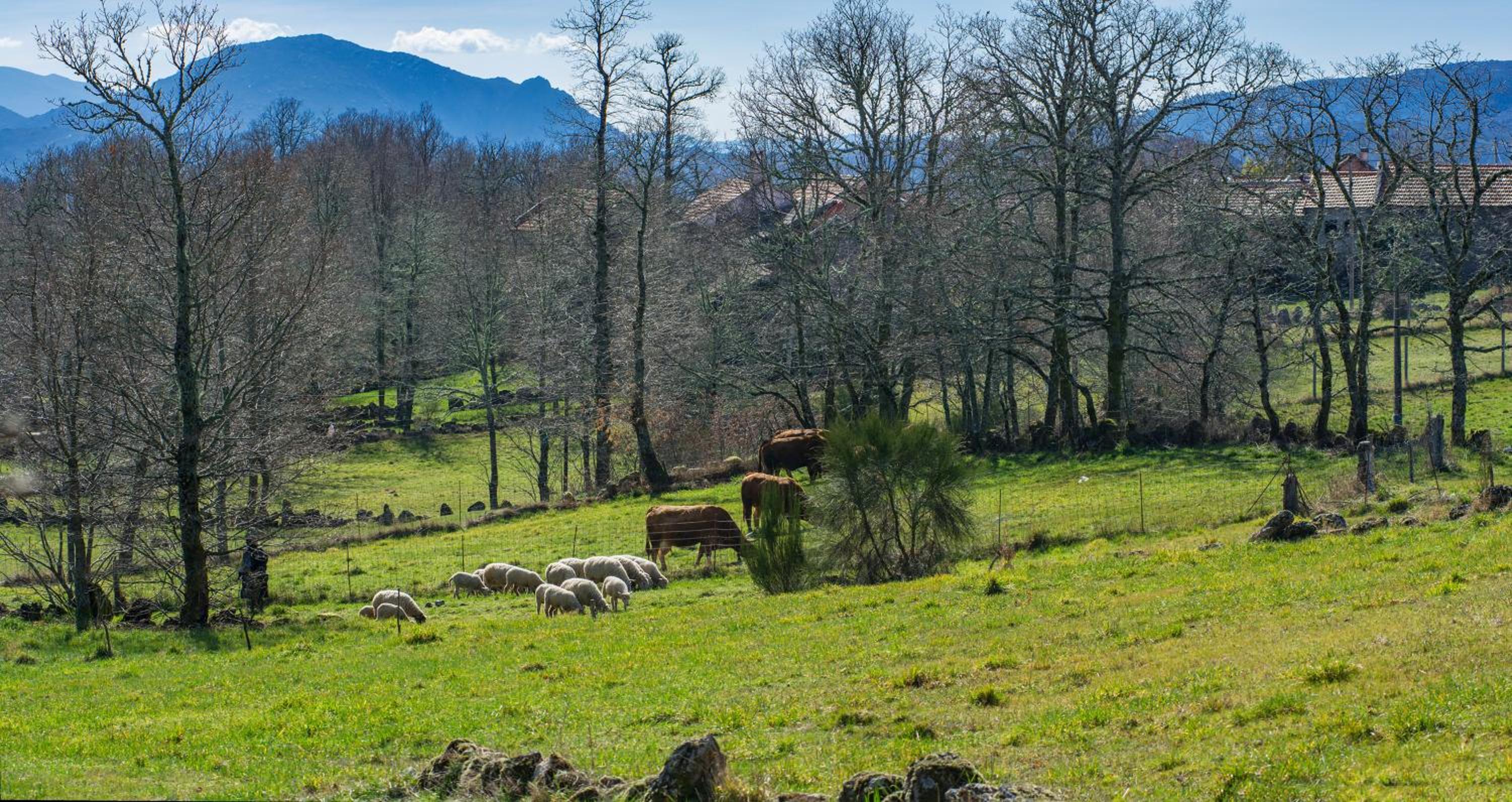 Casa da Macheta view 4
