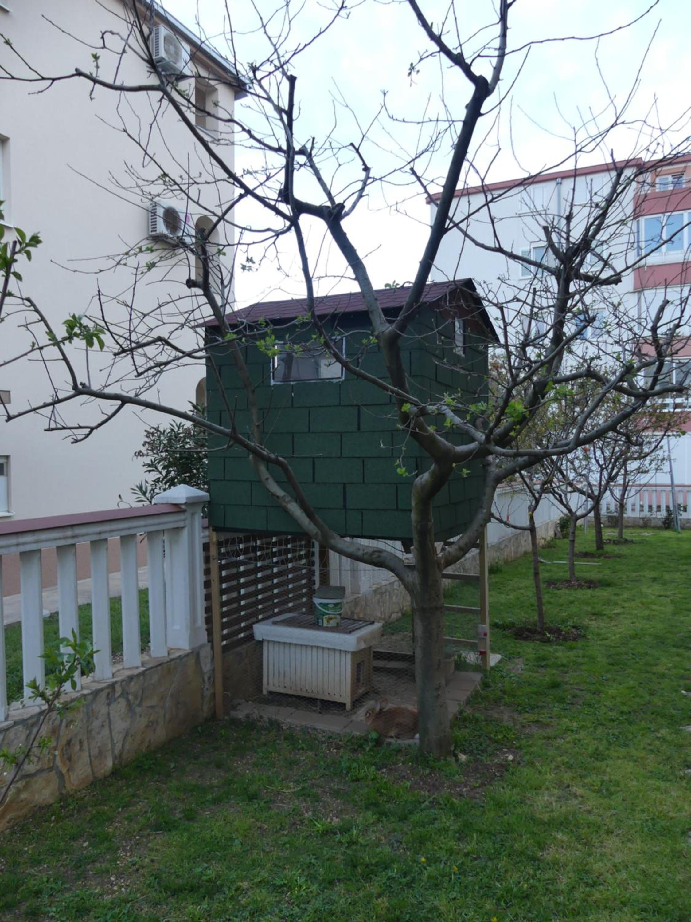 Photo 8