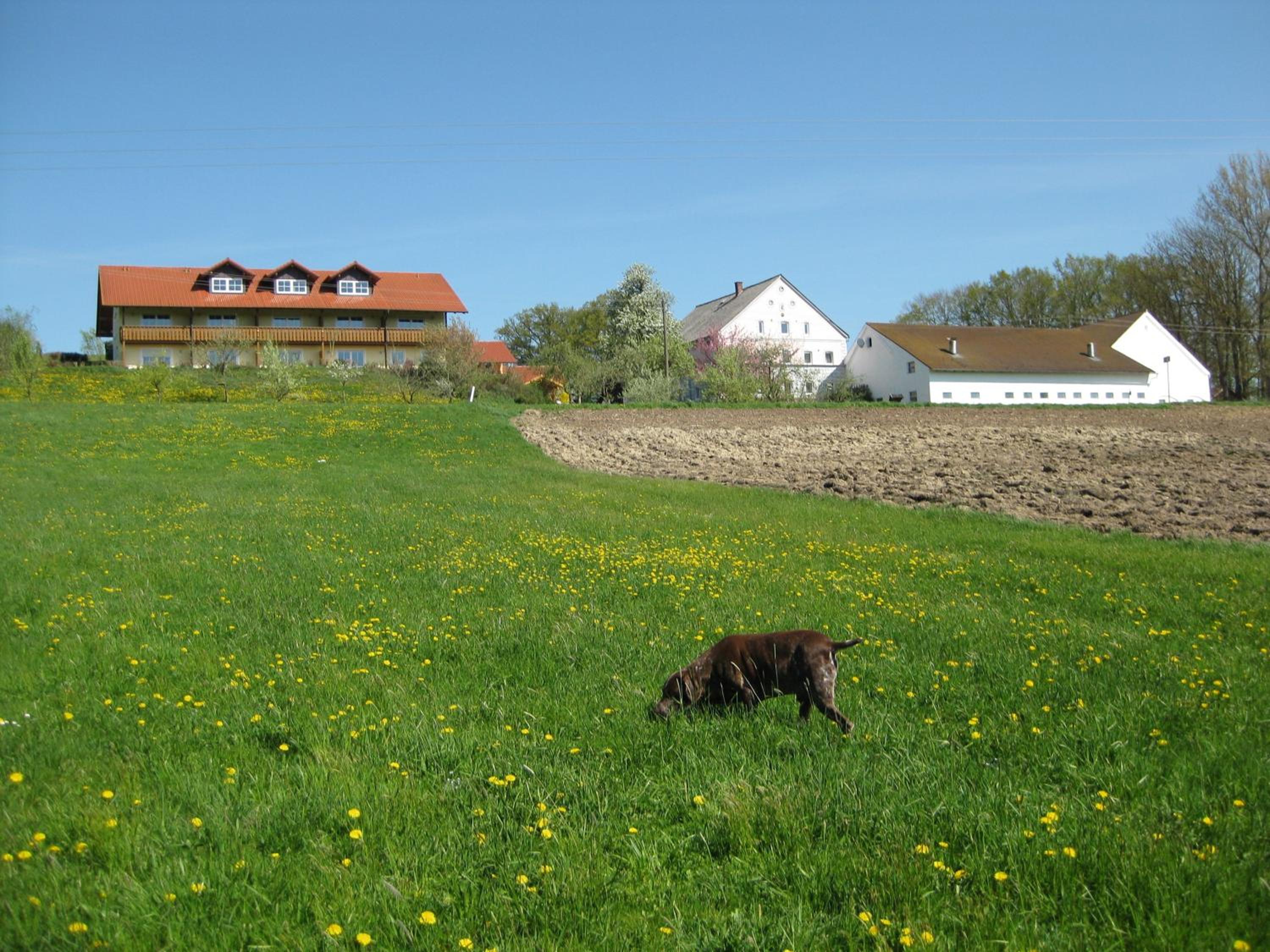 Photo 14