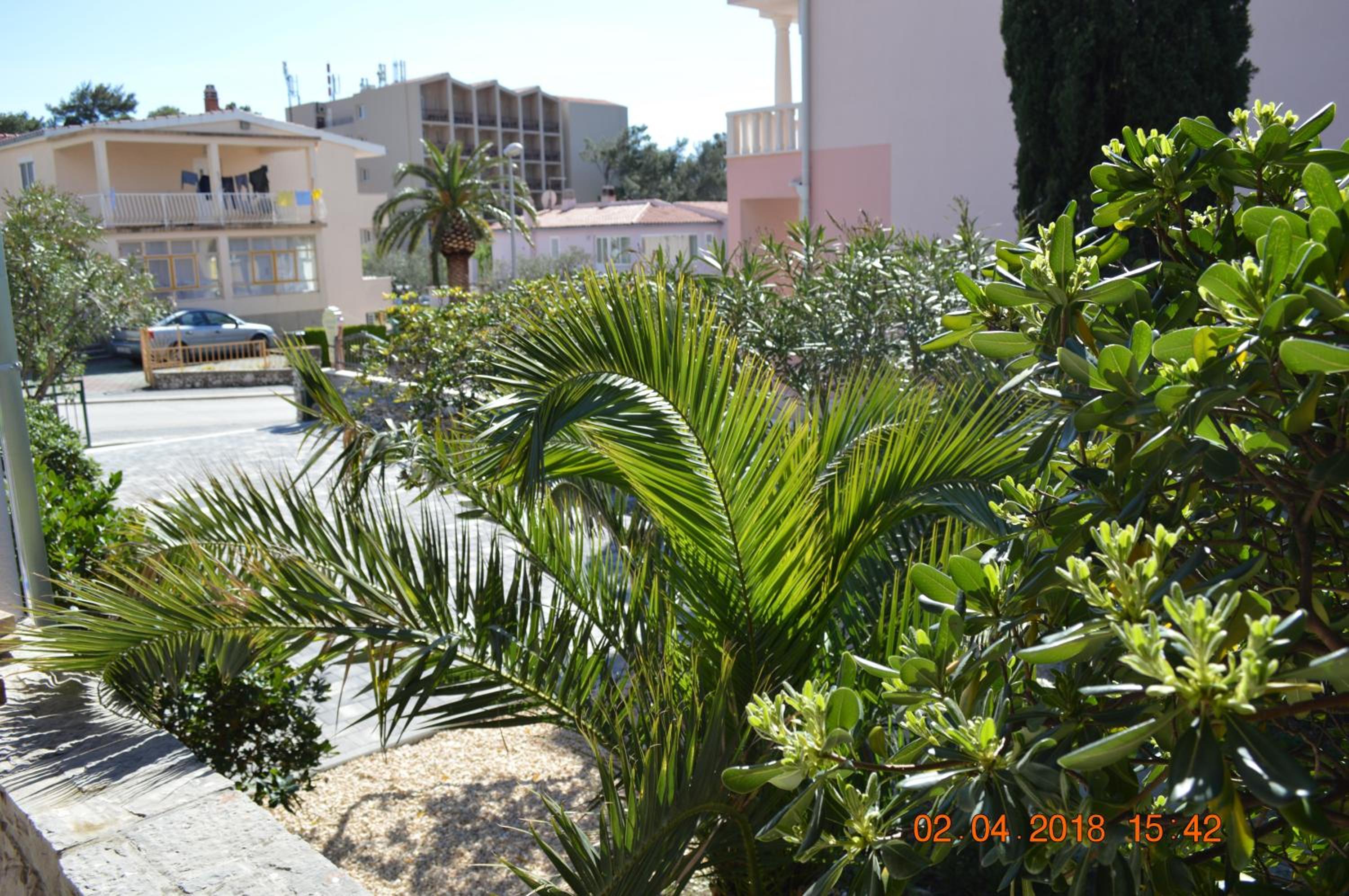 Photo 30